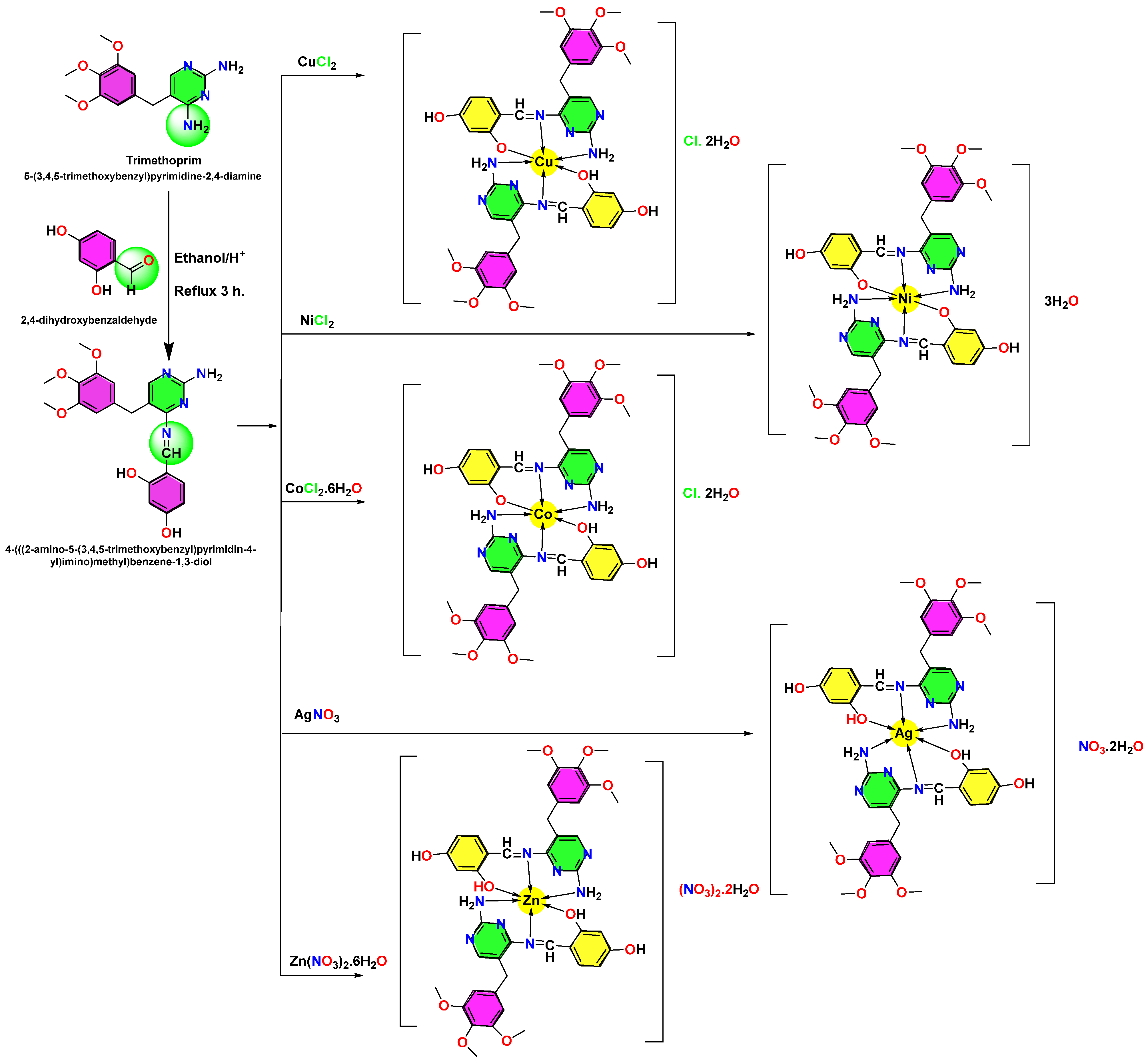Inorganics 13 00144 sch001