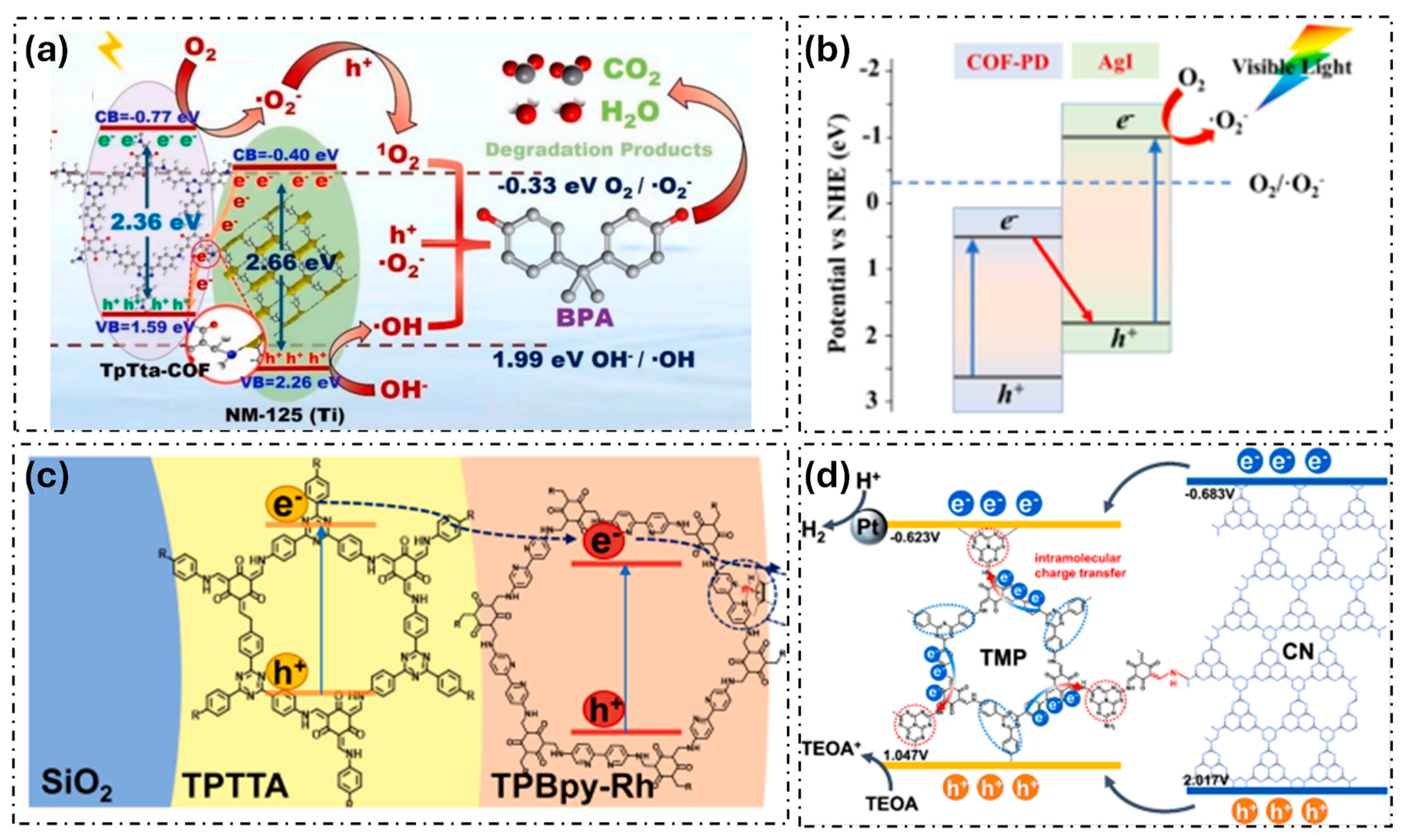 Inorganics 13 00152 g003