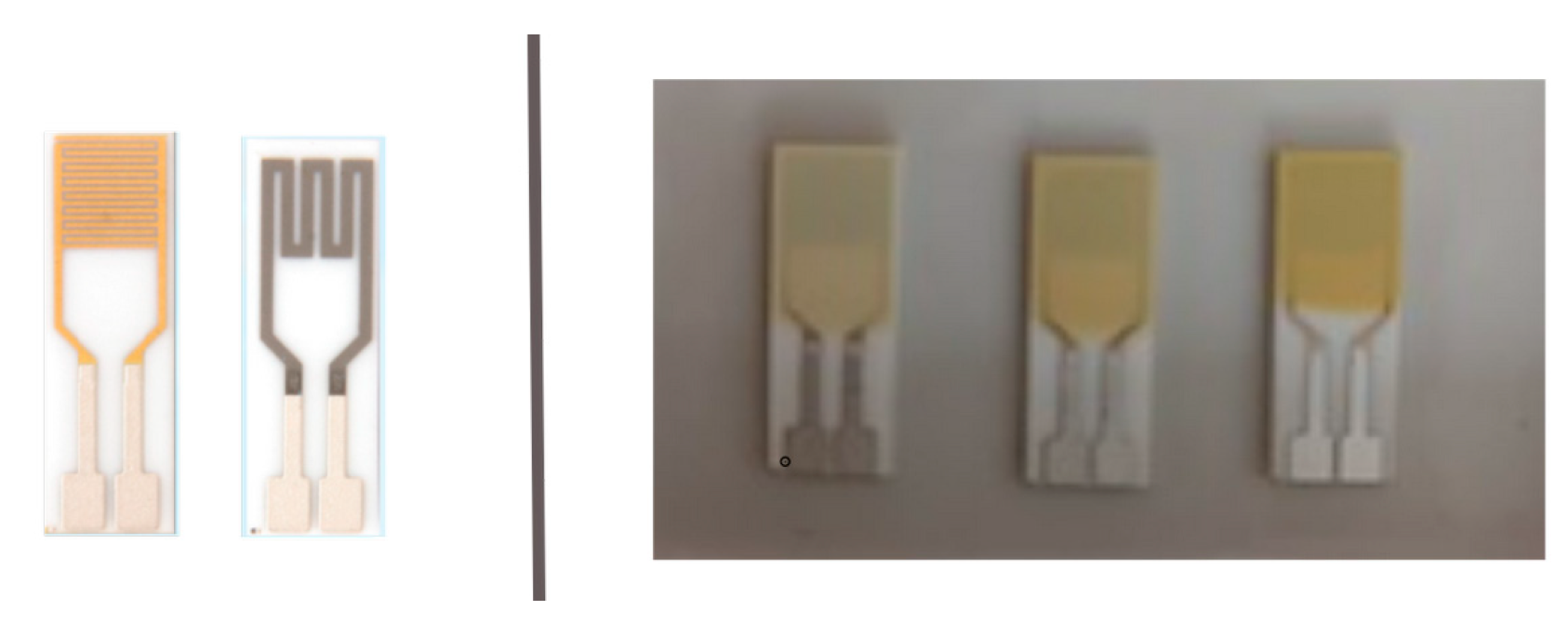 Inorganics 13 00159 g010