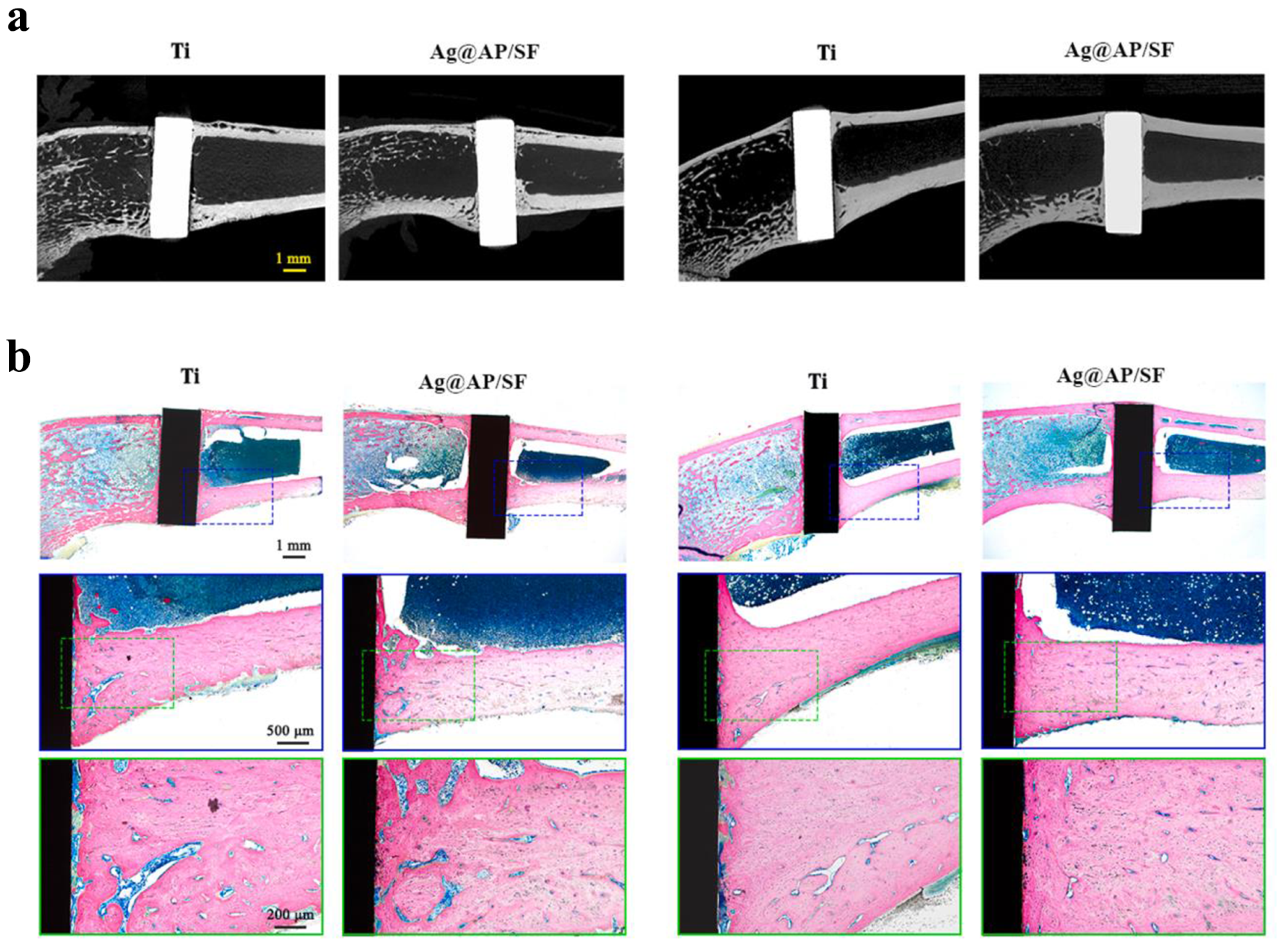 Inorganics 13 00168 g007
