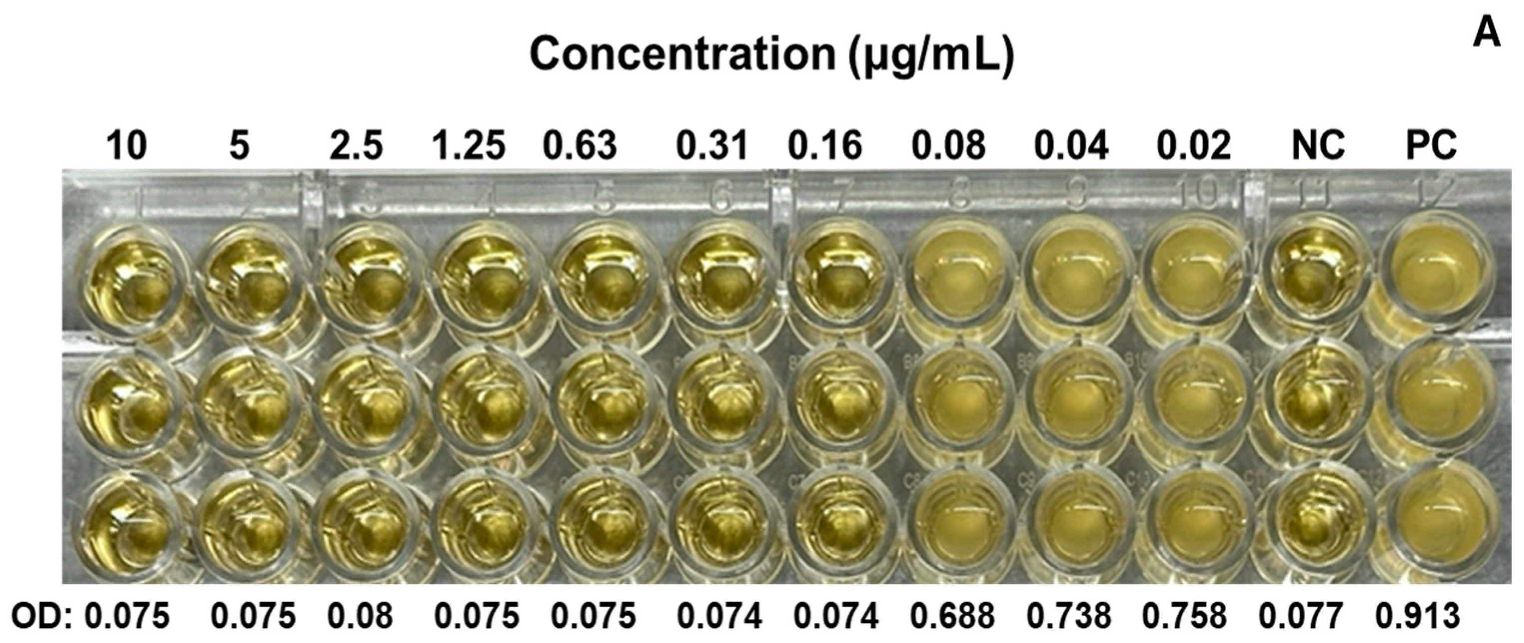 Inorganics 13 00178 g004a Inorganics 13 00178 g004a