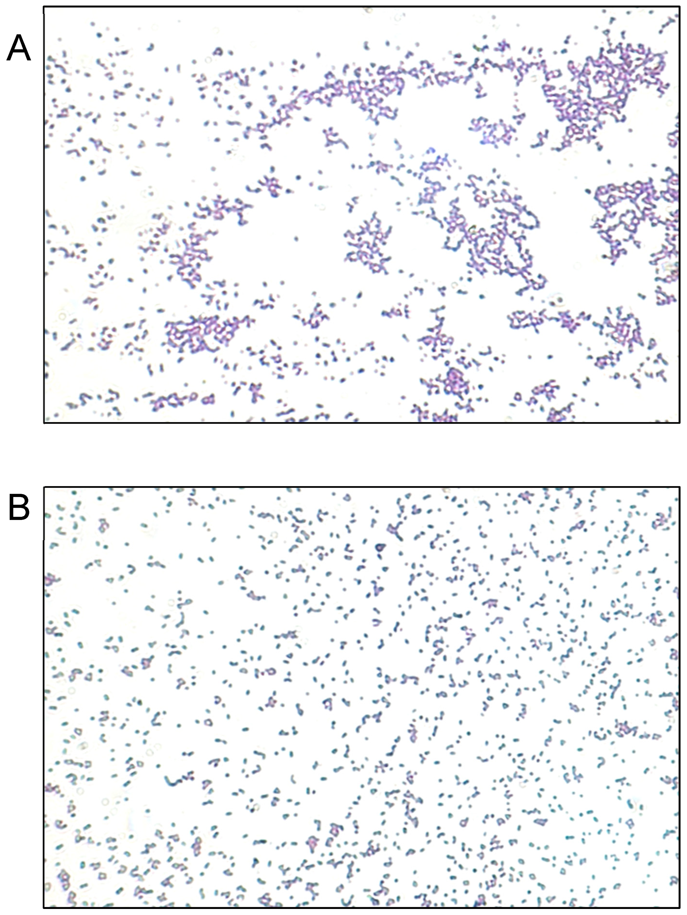 Inorganics 13 00178 g005 Inorganics 13 00178 g005