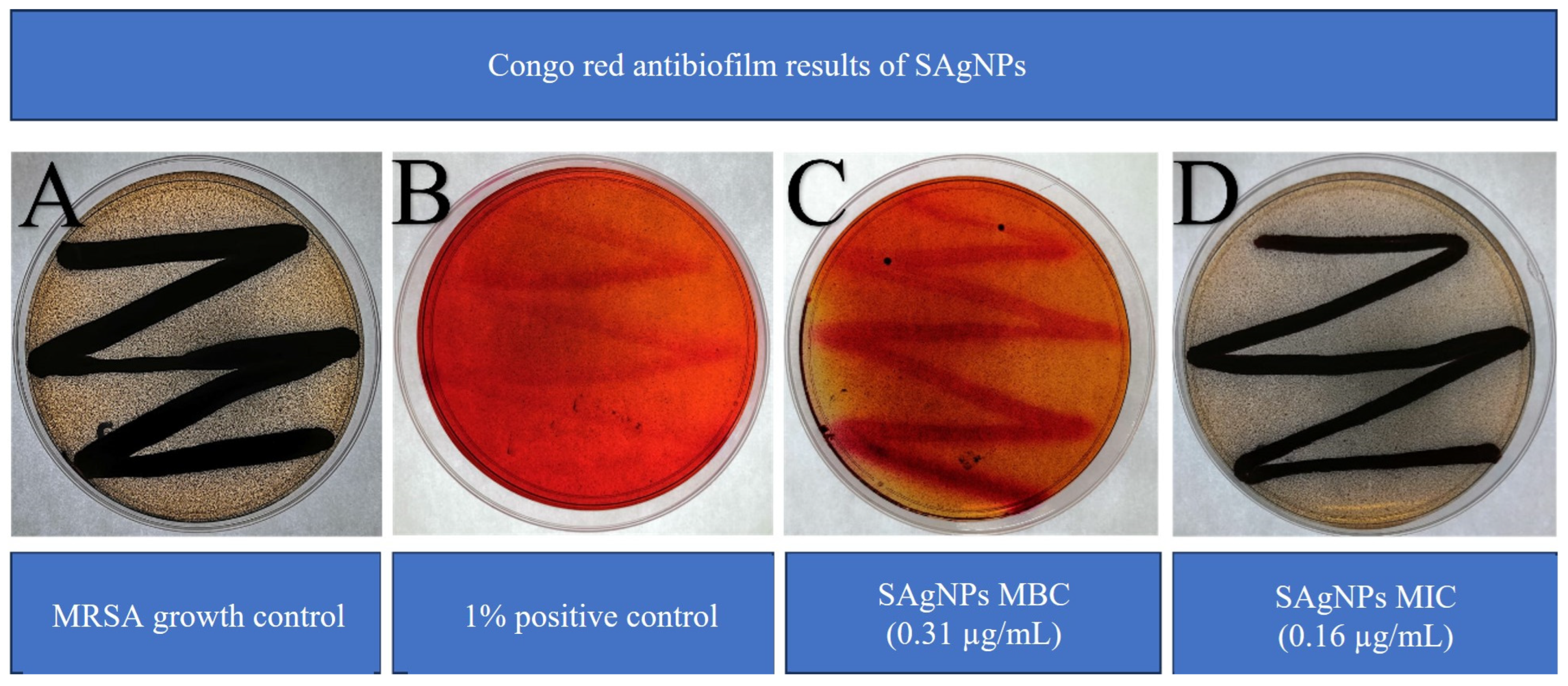 Inorganics 13 00178 g007 Inorganics 13 00178 g007