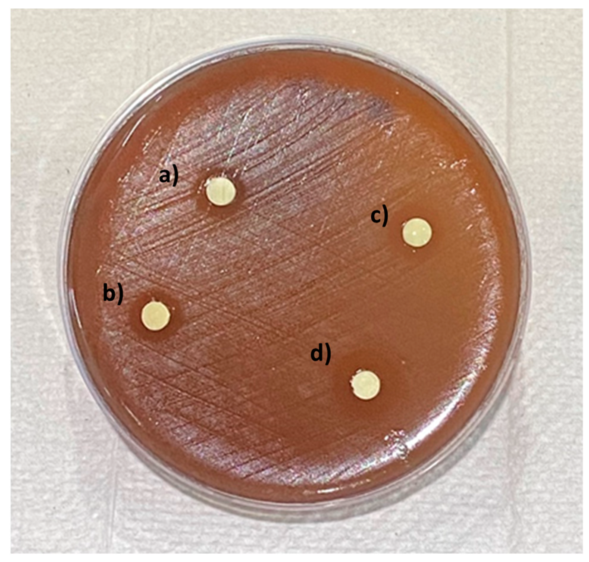 Inorganics 13 00190 g005