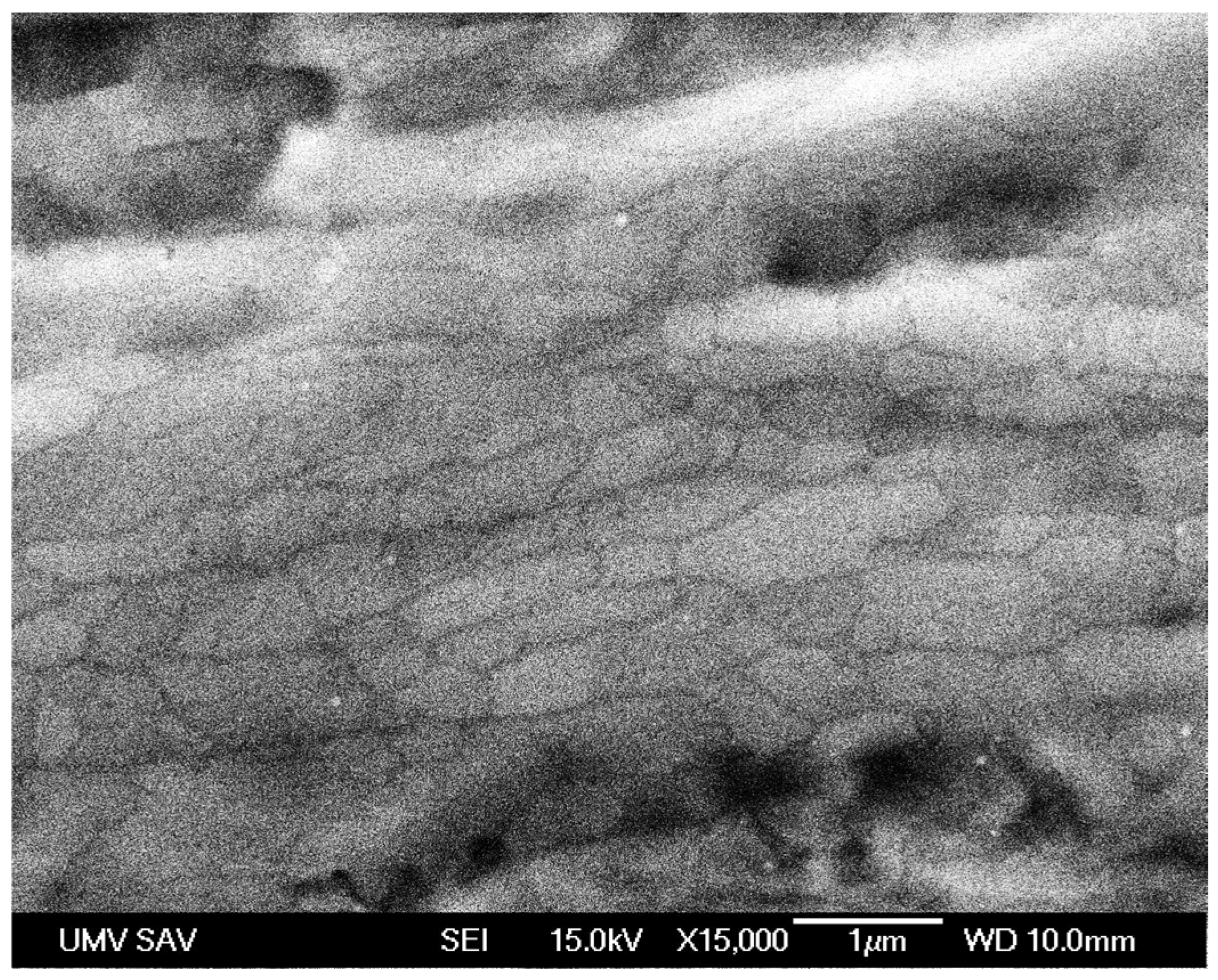 Inorganics 13 00193 g003