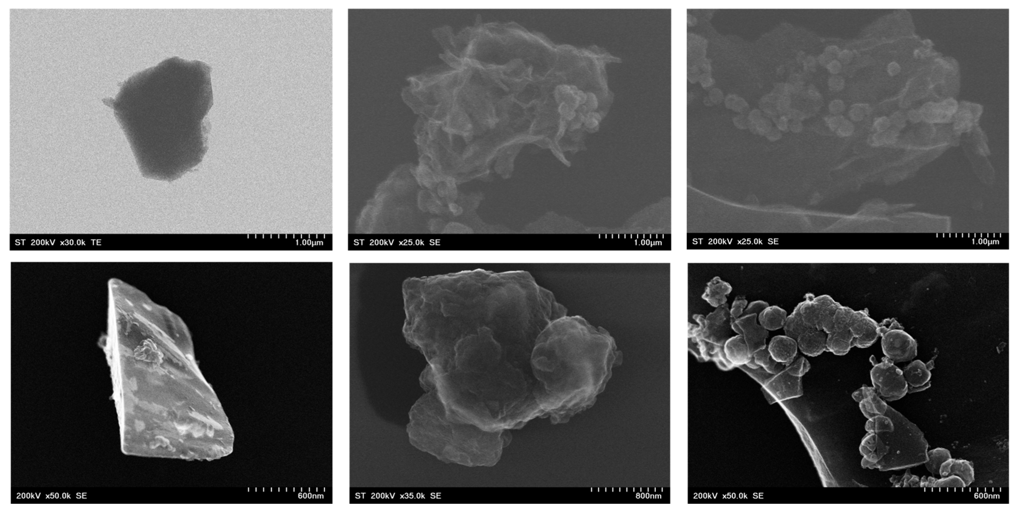 Inorganics 13 00196 g004