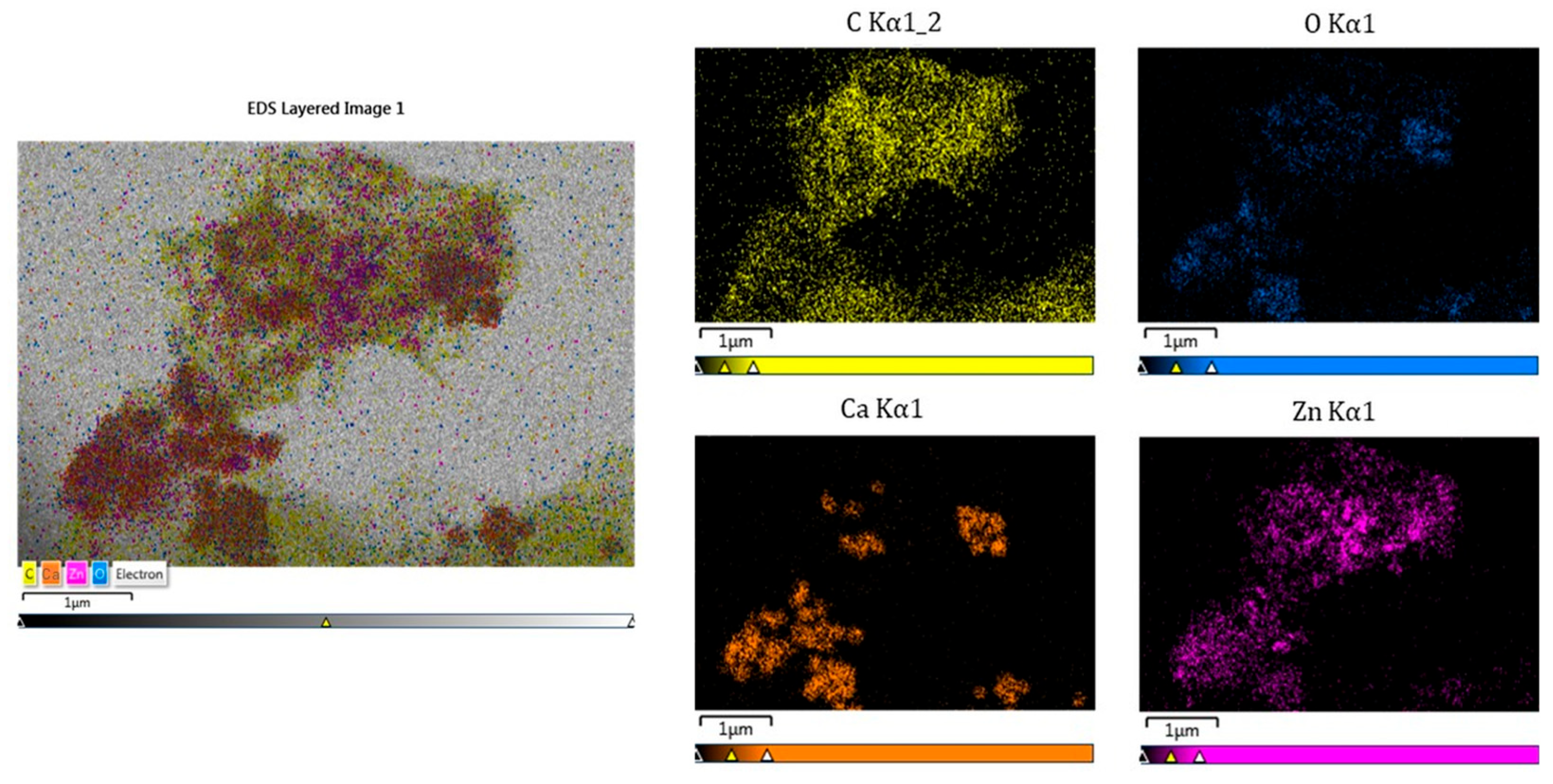 Inorganics 13 00196 g005