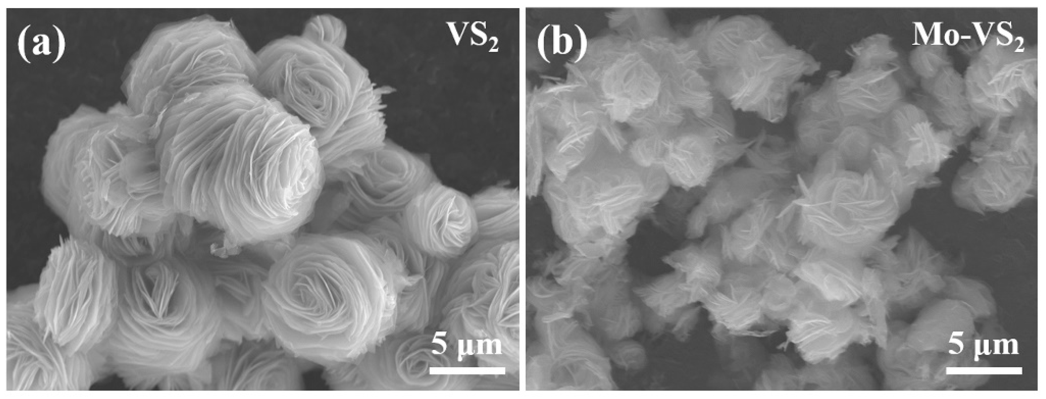 Inorganics 13 00199 g003