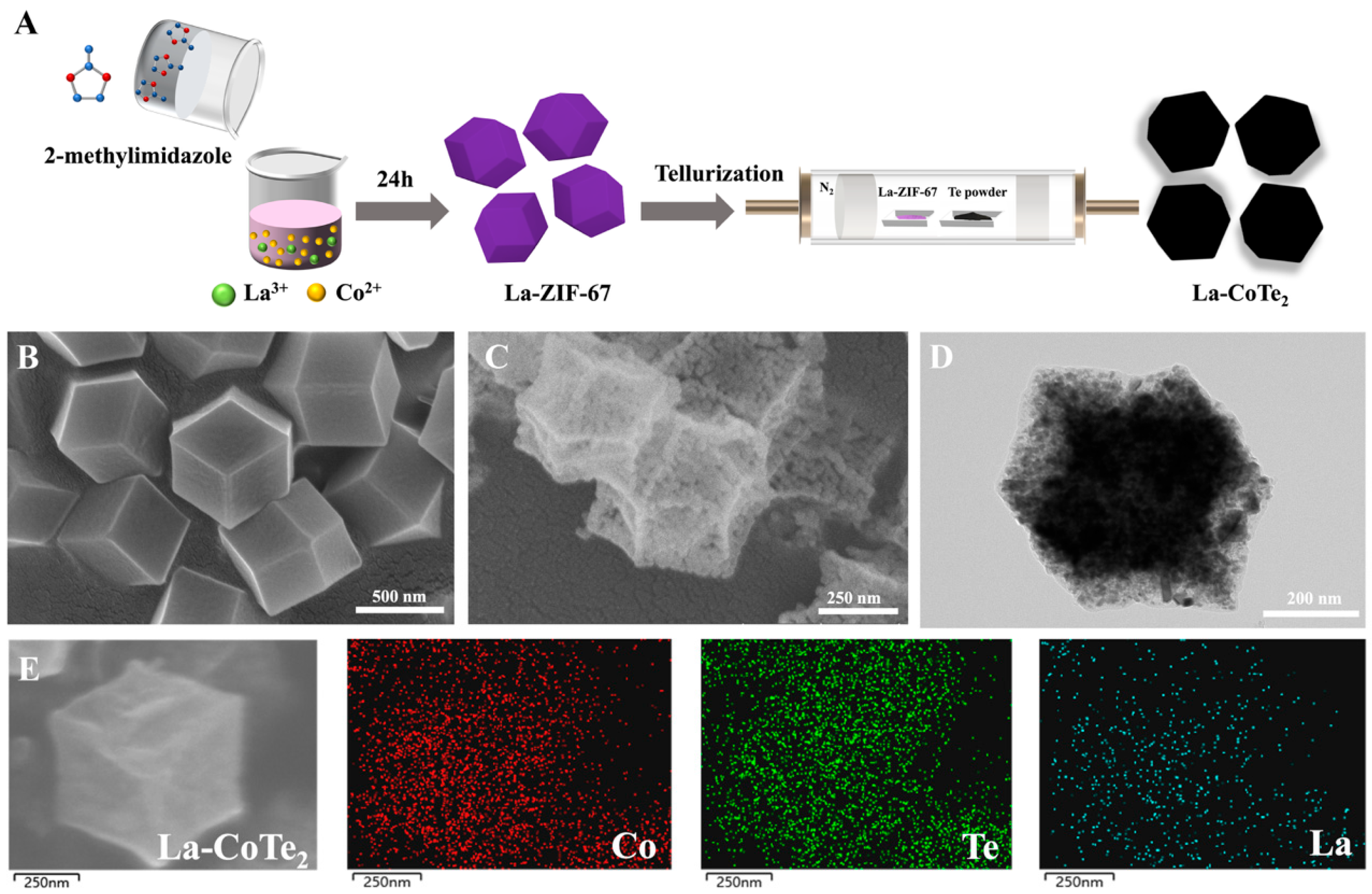 Inorganics 13 00207 g001