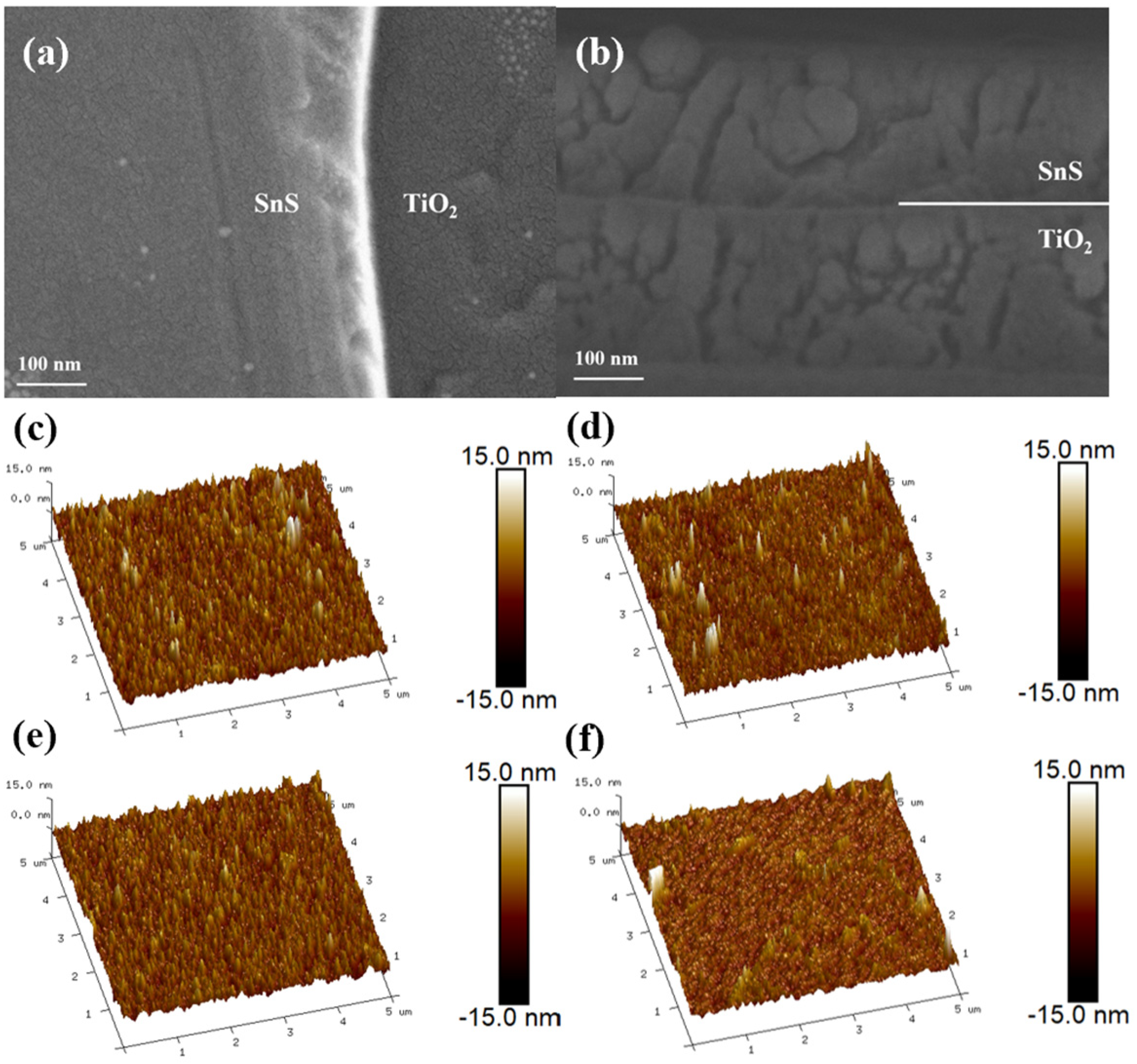 Photoelectrochemical and Photocatalytic Properties of SnS