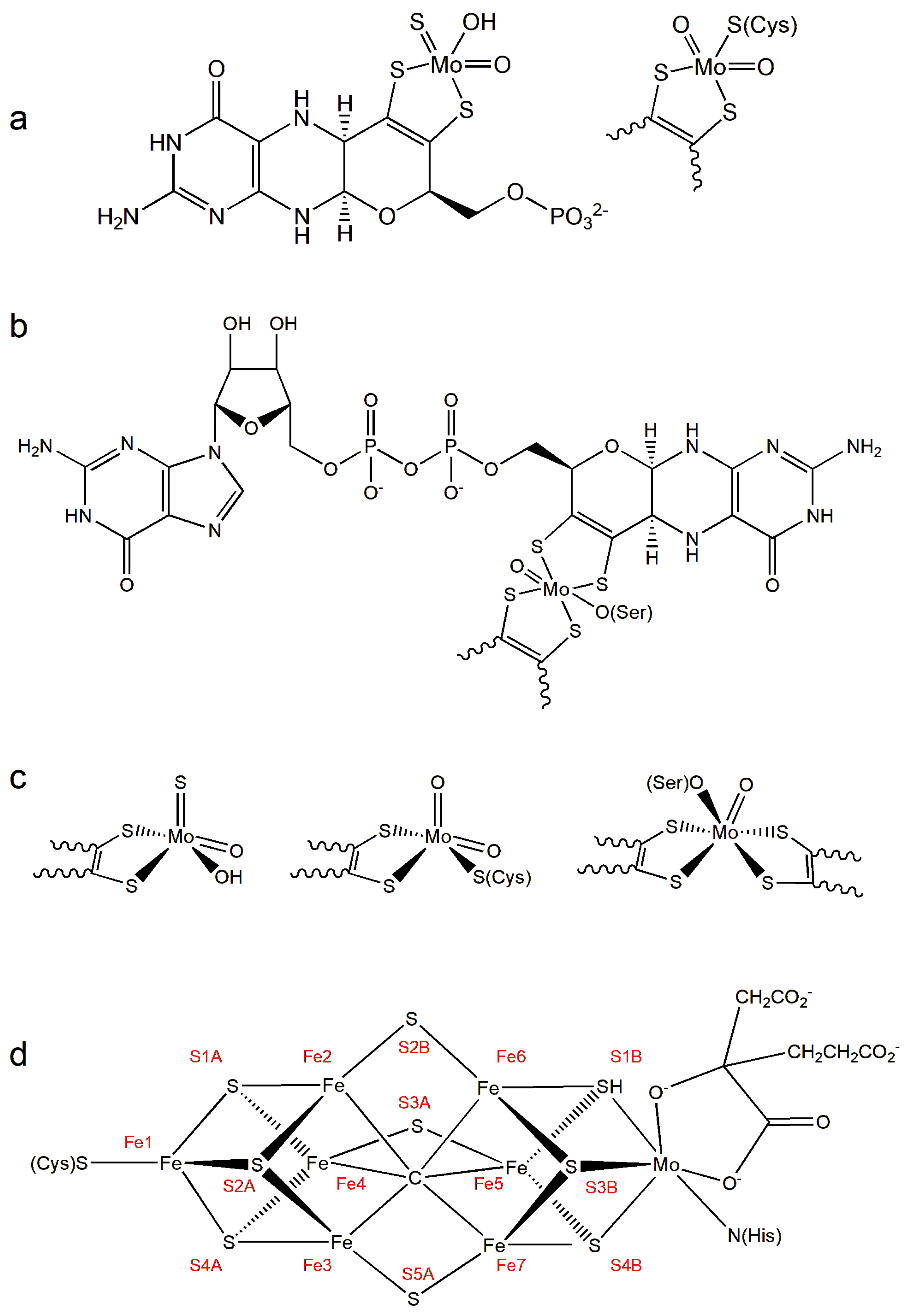 Inorganics 13 00219 g001 Inorganics 13 00219 g001