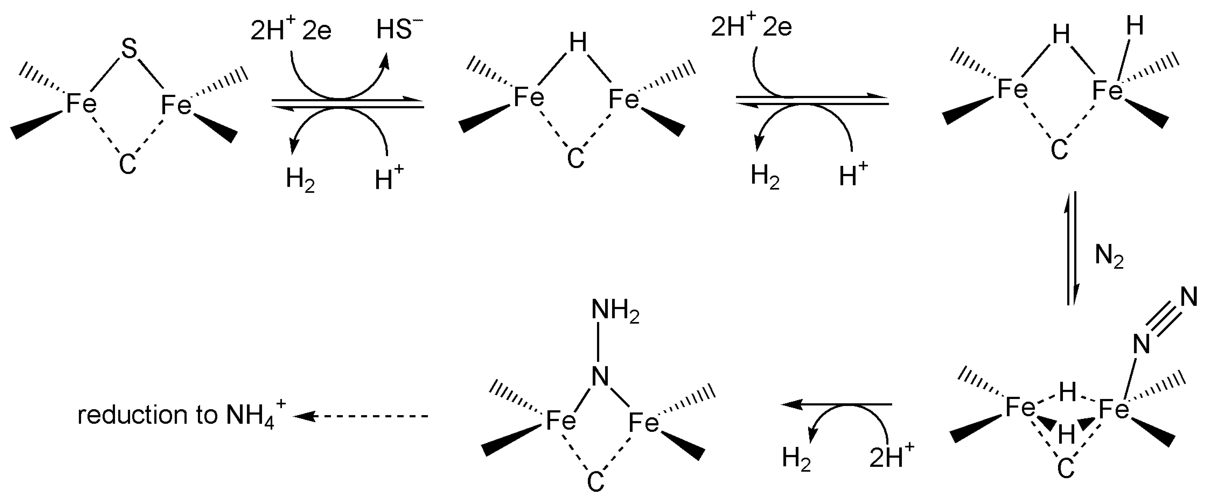 Inorganics 13 00219 g004 Inorganics 13 00219 g004