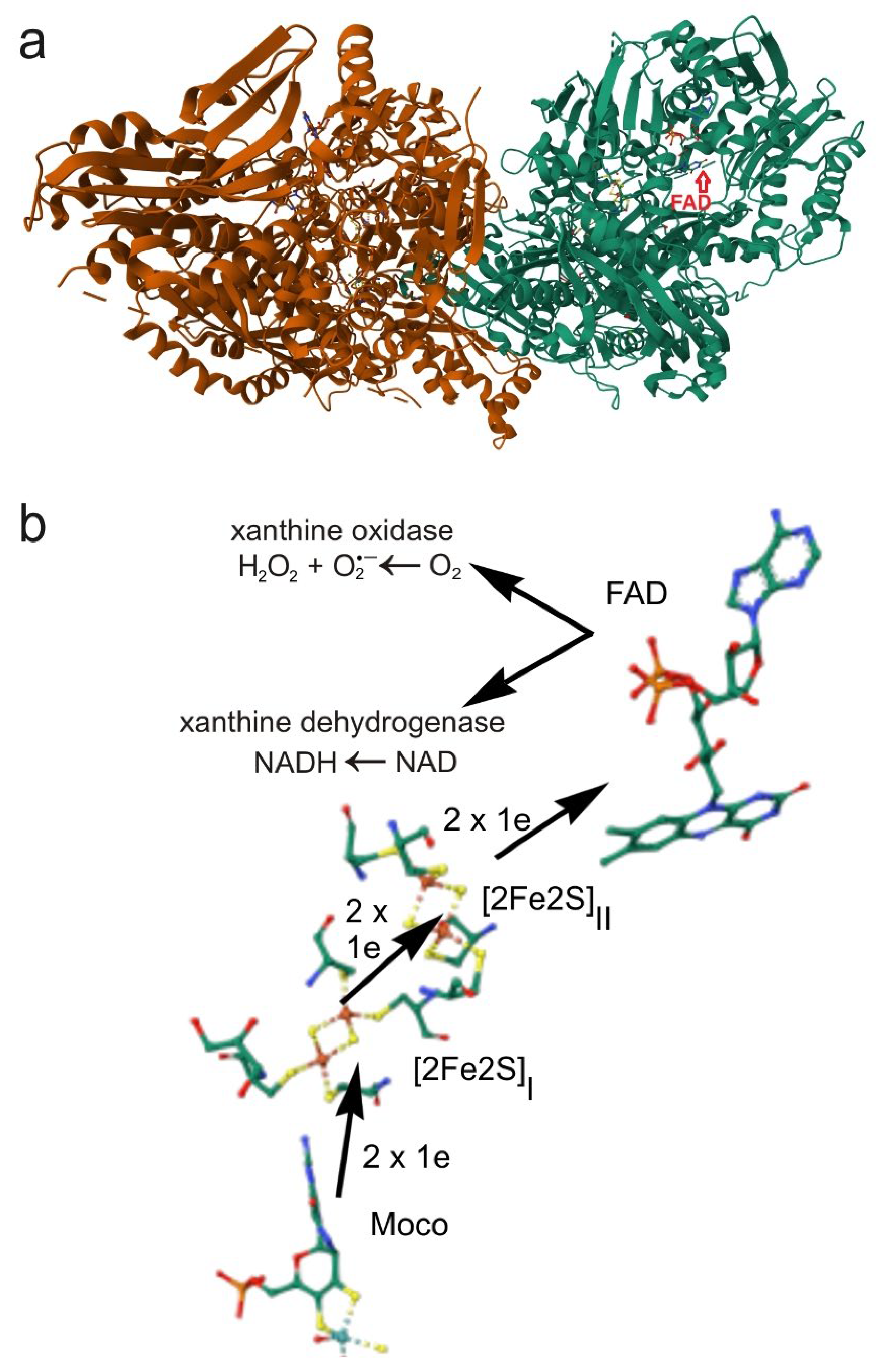 Inorganics 13 00219 g006 Inorganics 13 00219 g006