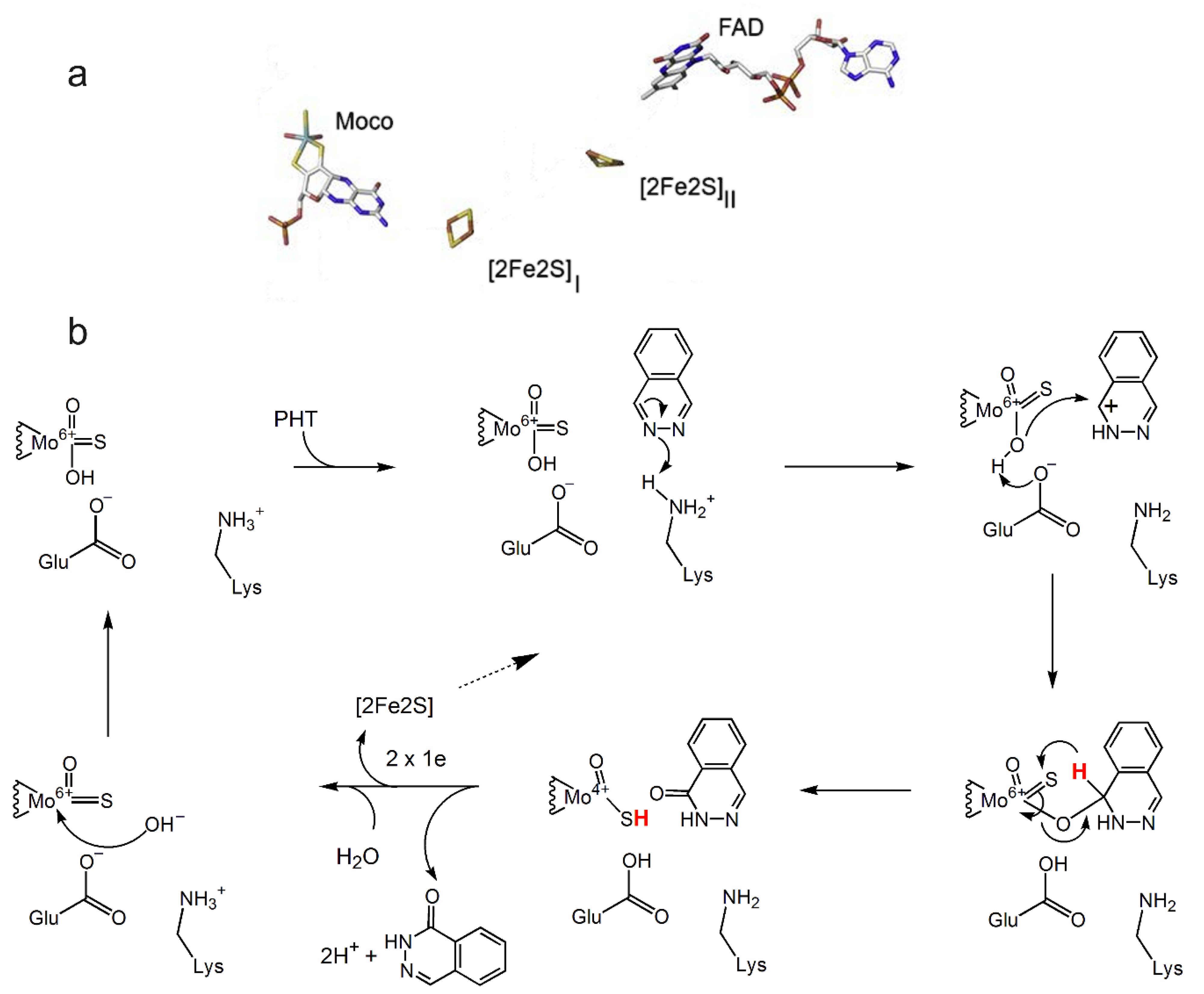 Inorganics 13 00219 g009 Inorganics 13 00219 g009