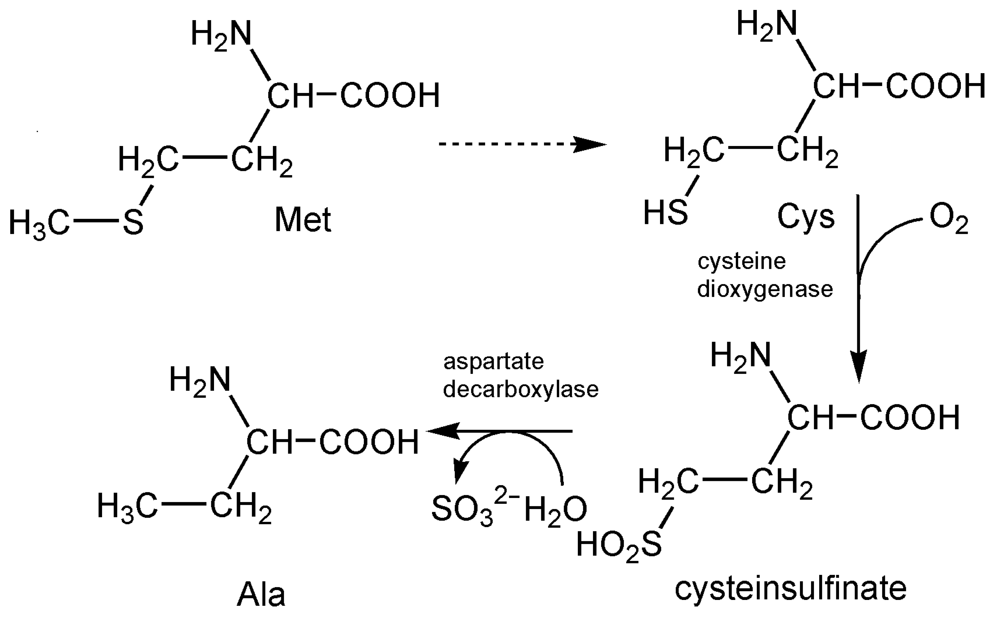 Inorganics 13 00219 g010 Inorganics 13 00219 g010