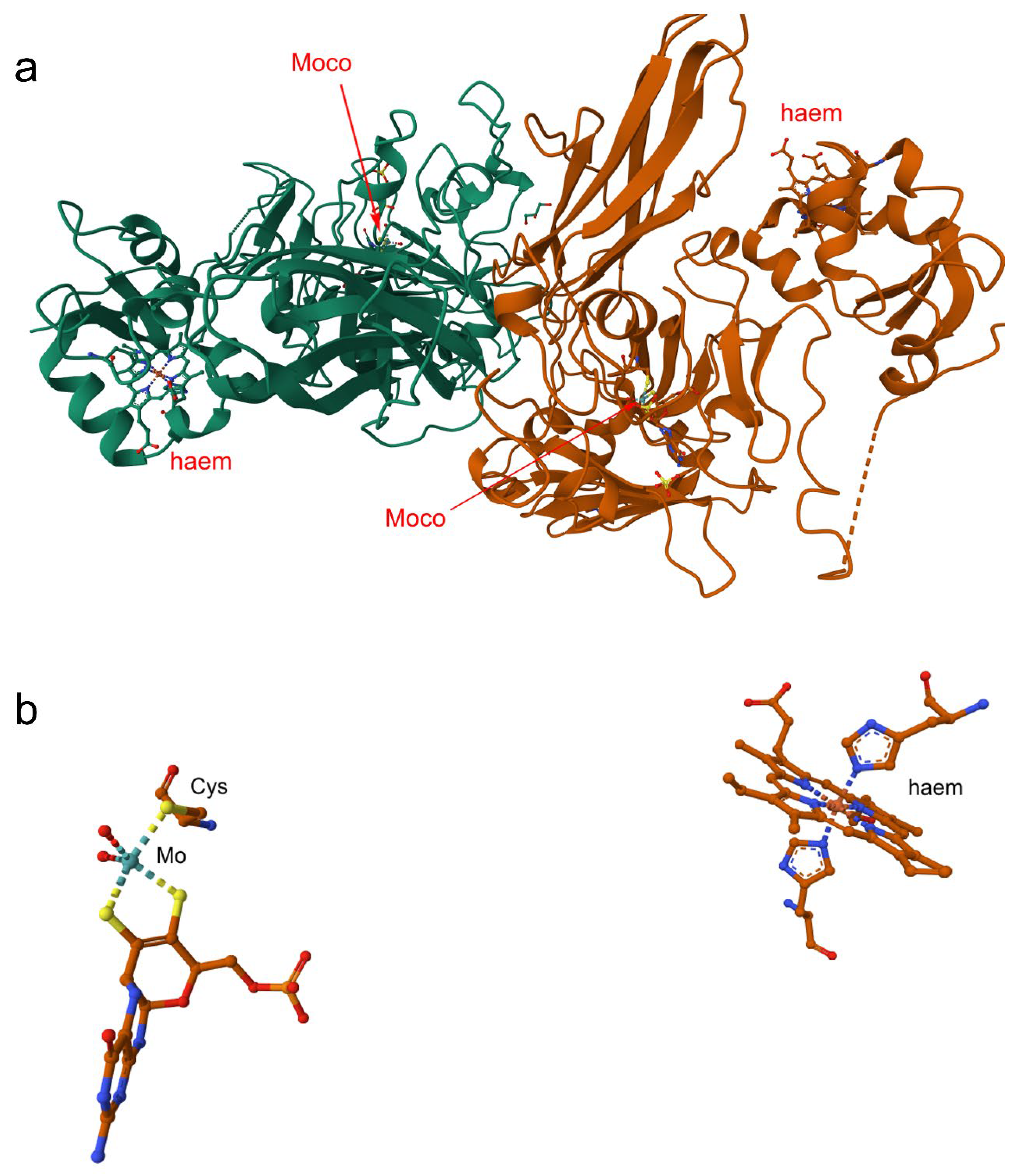 Inorganics 13 00219 g011 Inorganics 13 00219 g011