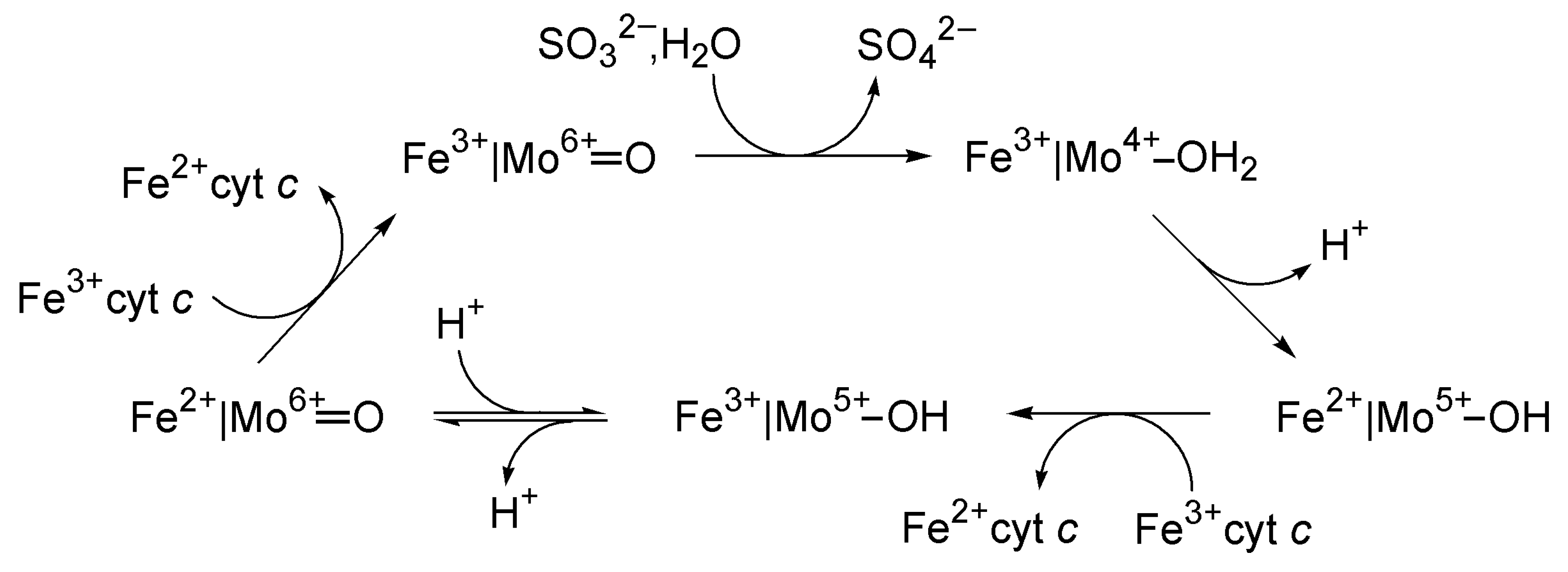 Inorganics 13 00219 g012 Inorganics 13 00219 g012