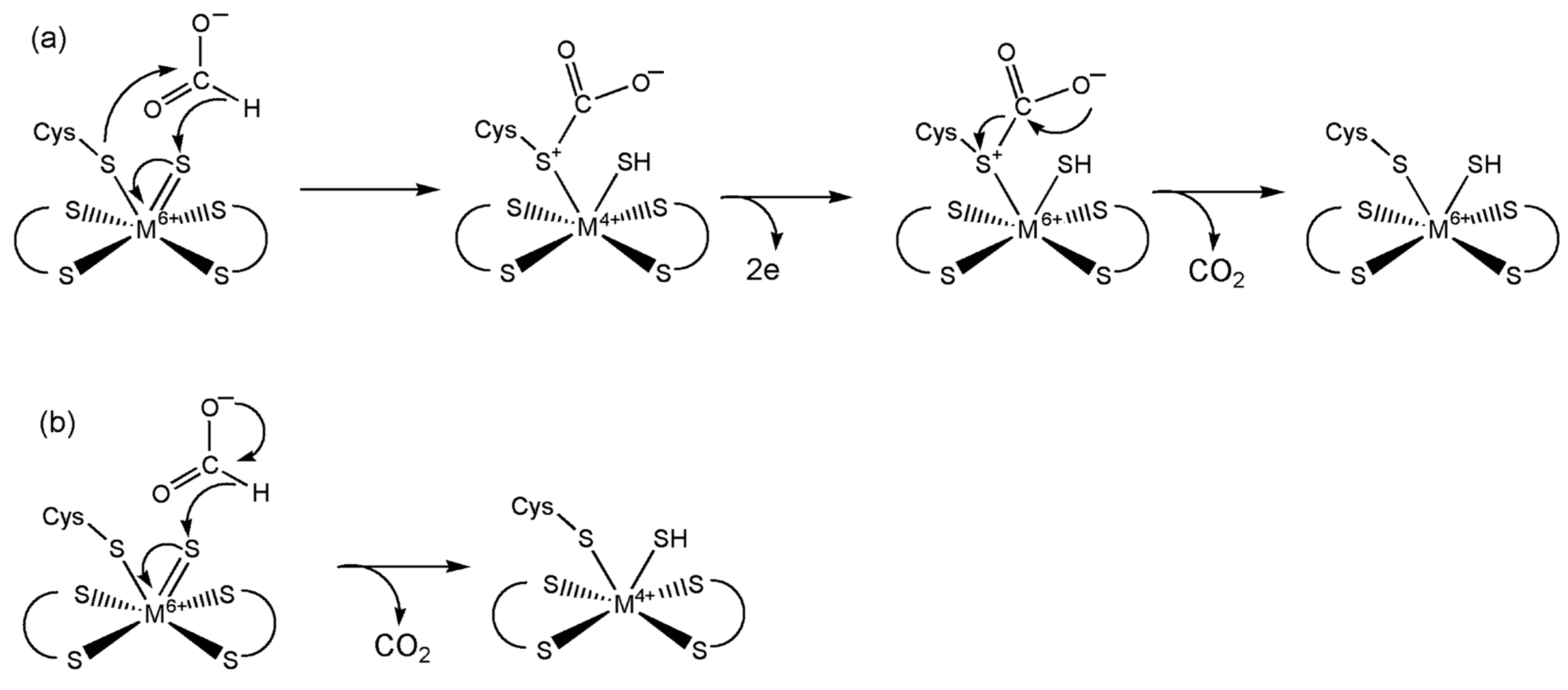 Inorganics 13 00219 g014 Inorganics 13 00219 g014