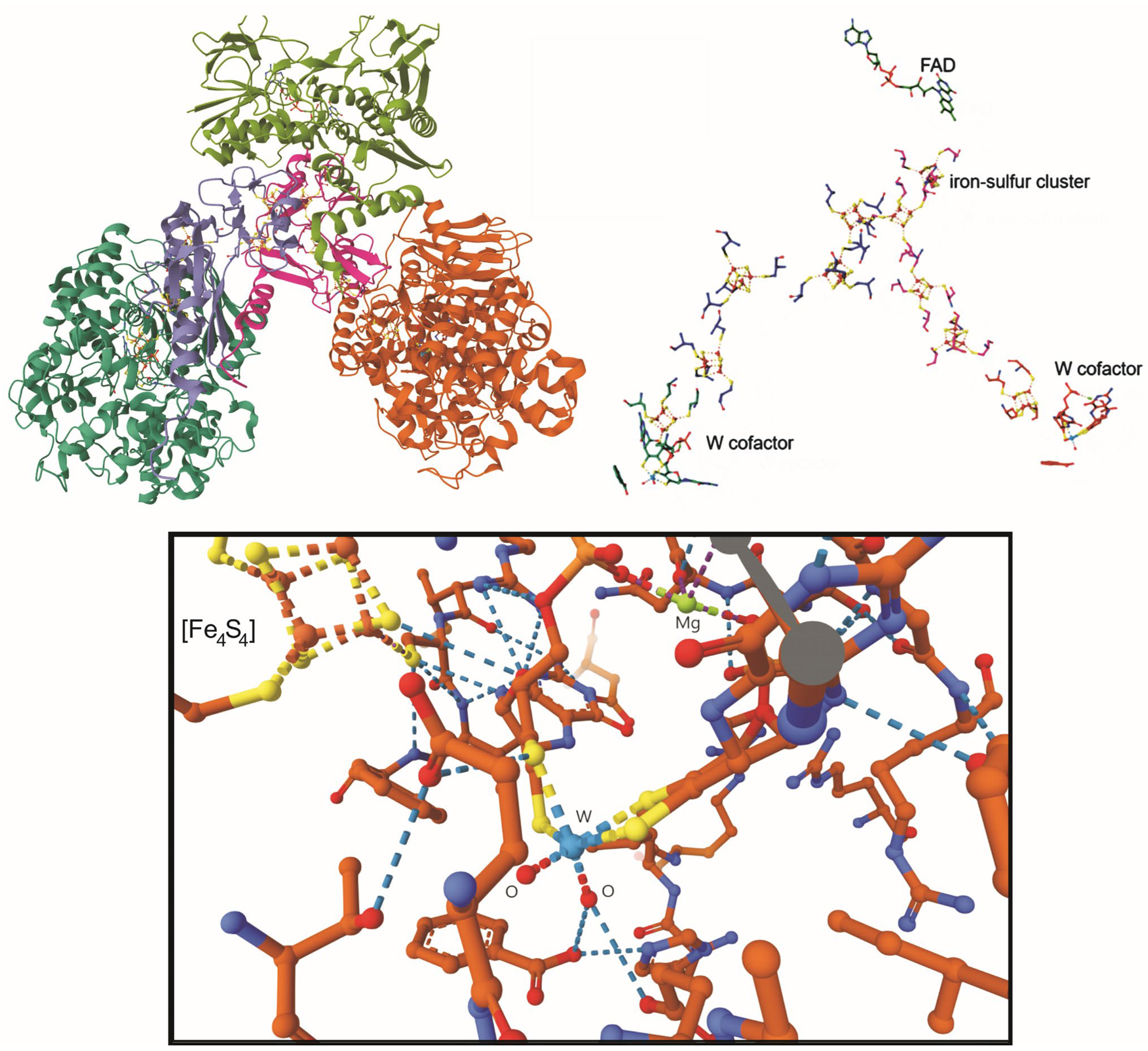 Inorganics 13 00219 g016 Inorganics 13 00219 g016