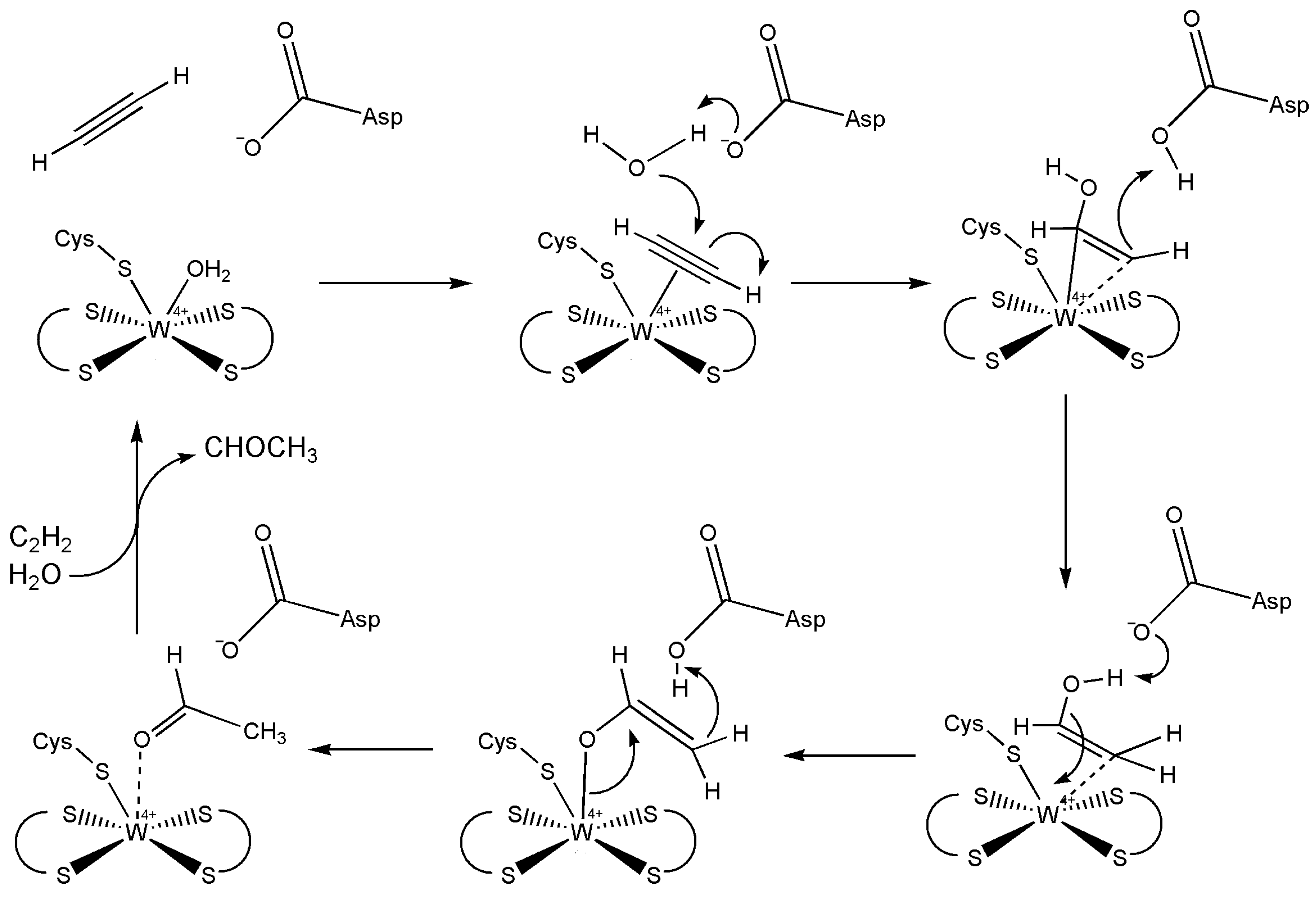 Inorganics 13 00219 g020 Inorganics 13 00219 g020