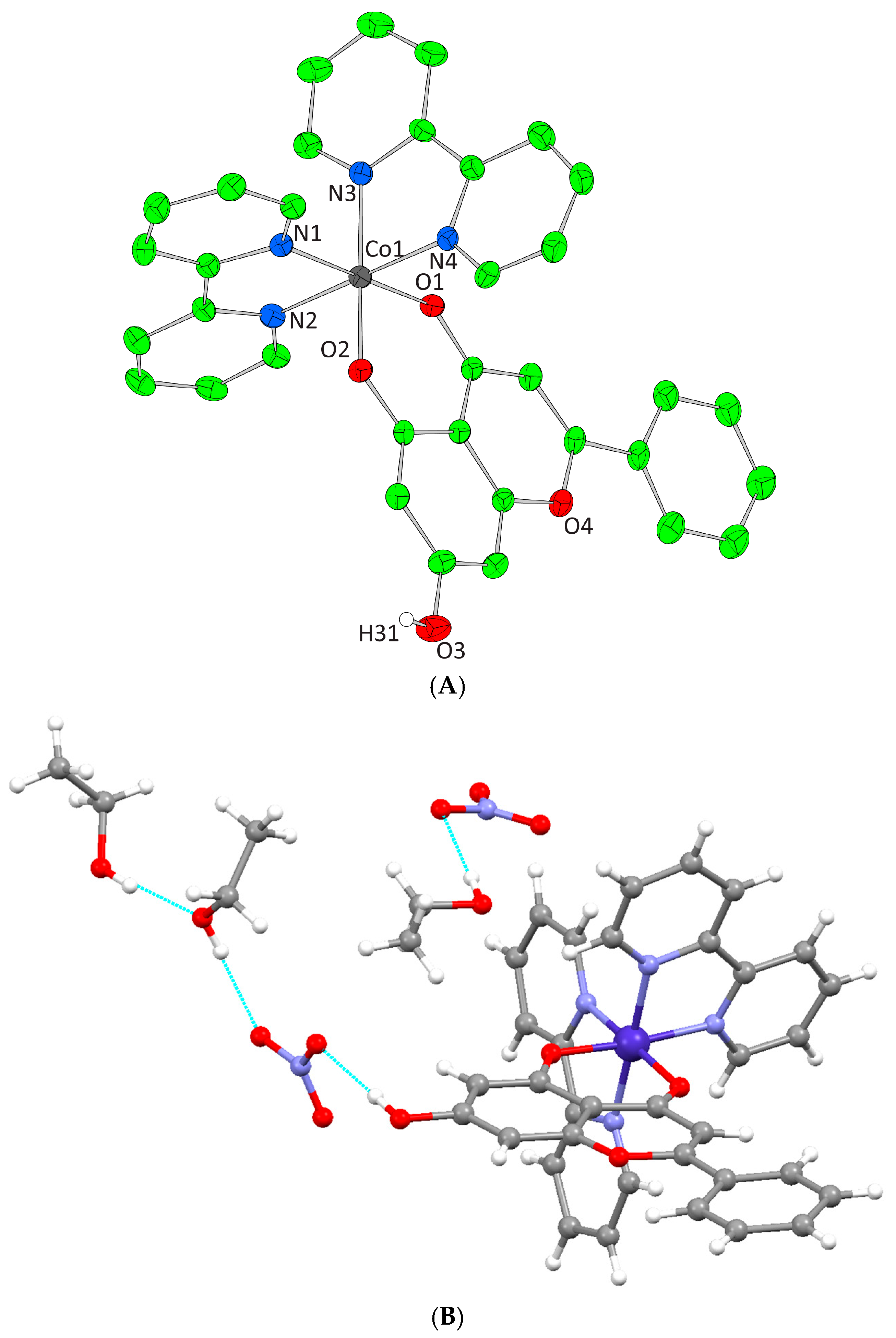 Inorganics 13 00230 g002