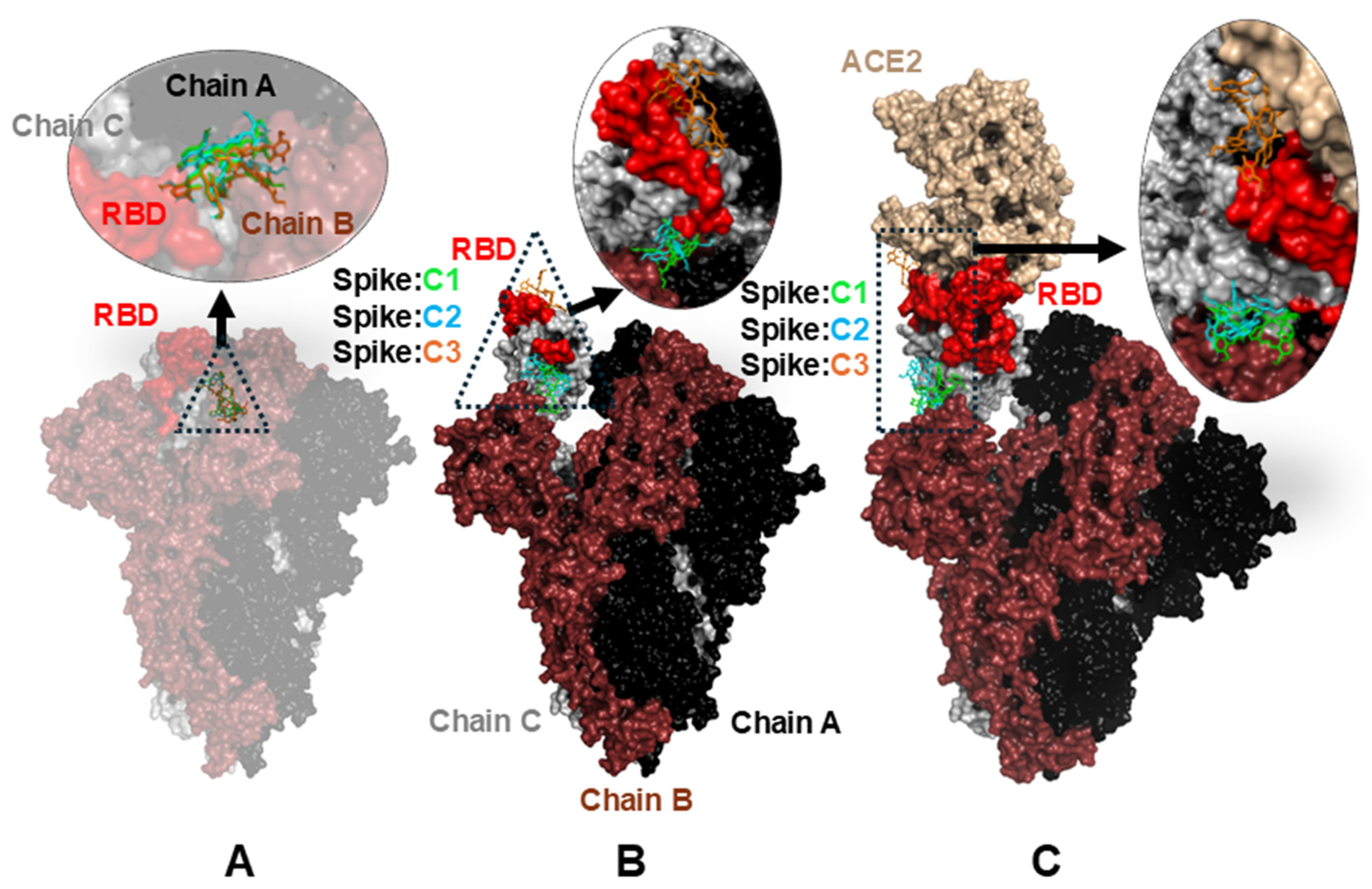 Inorganics 13 00252 g010