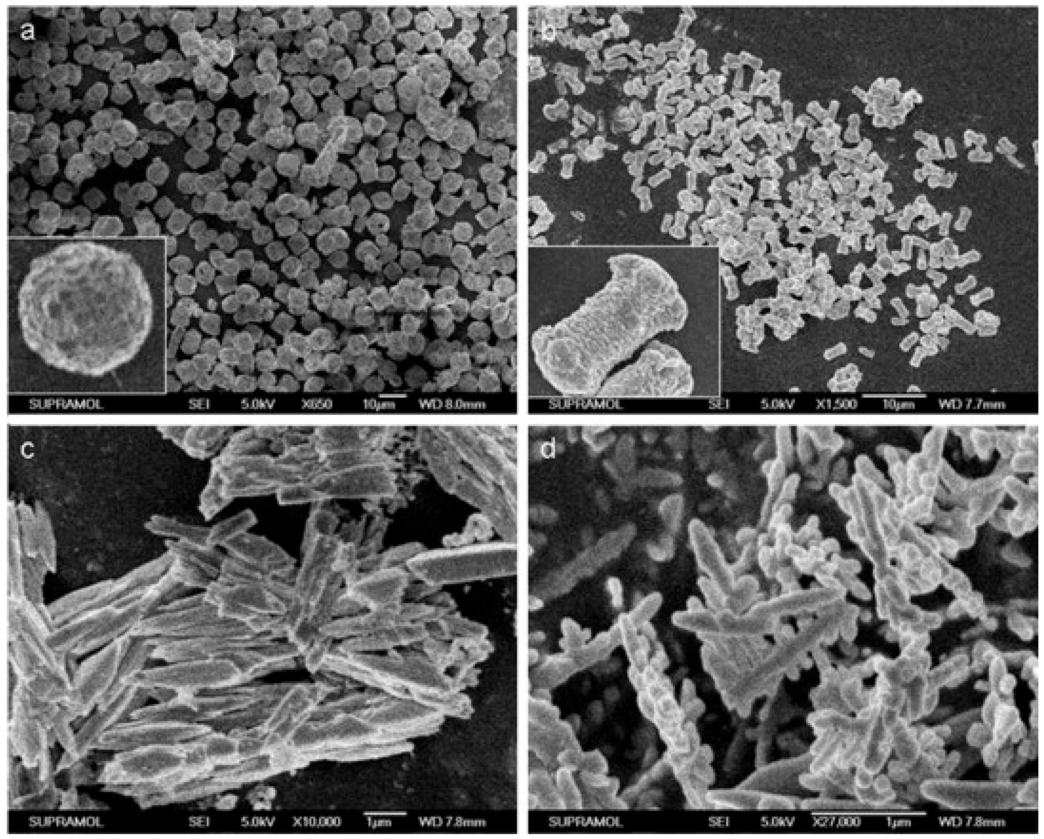 Inorganics 13 00268 g002