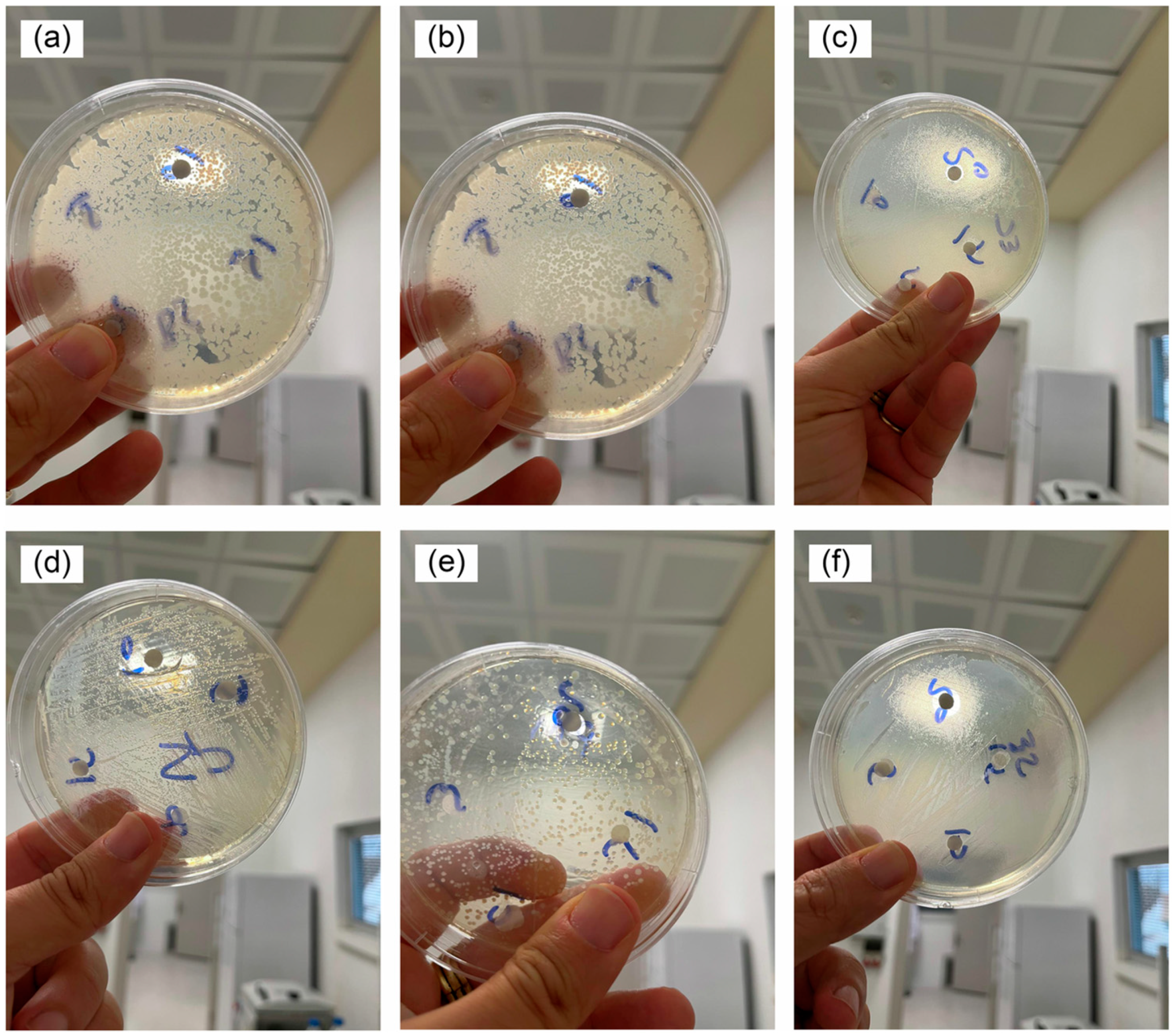 Inorganics 13 00268 g006