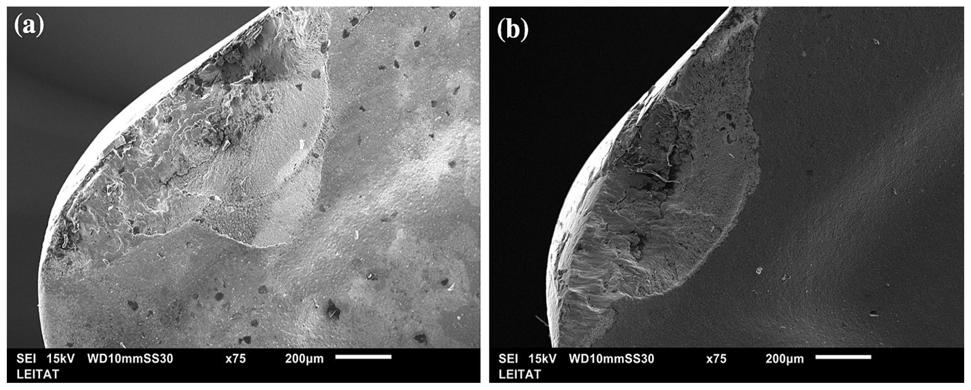 Inorganics 13 00281 g004 Inorganics 13 00281 g004