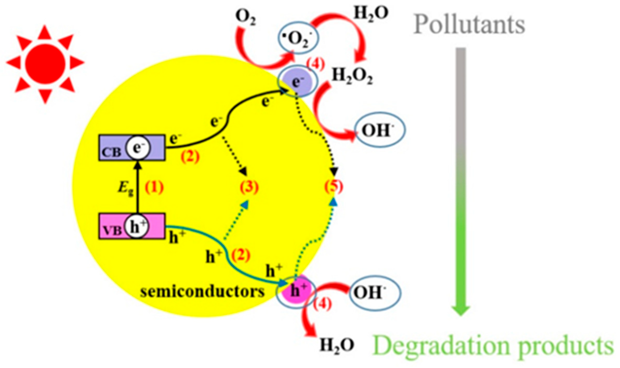 Inorganics 13 00286 g001