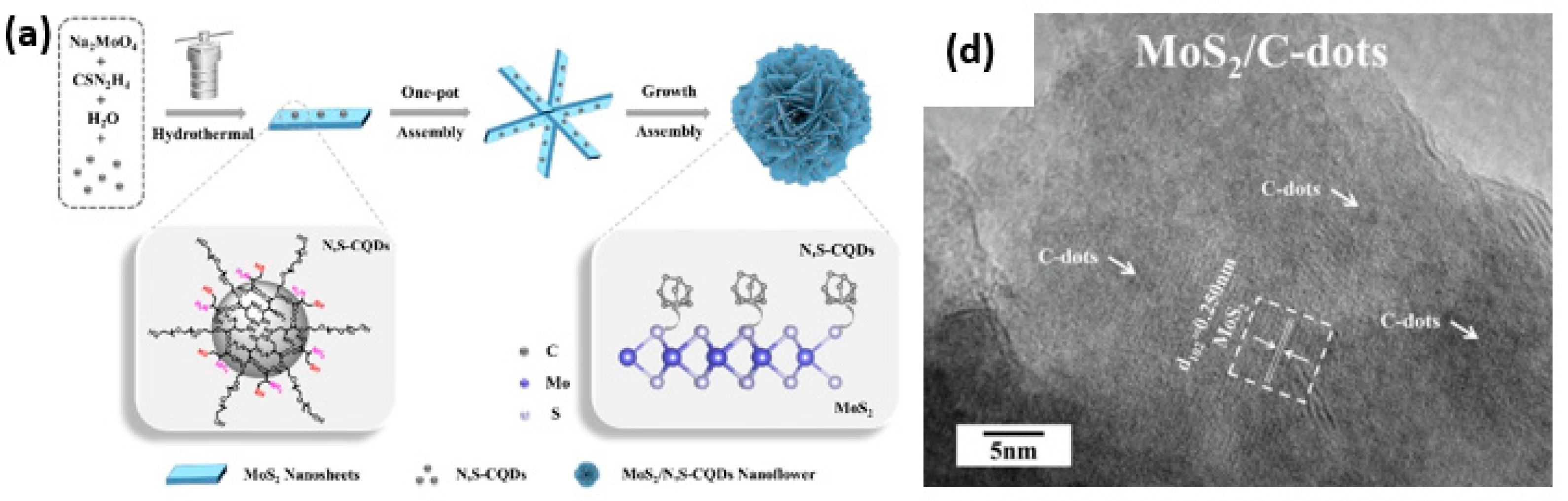 Inorganics 13 00286 g011a