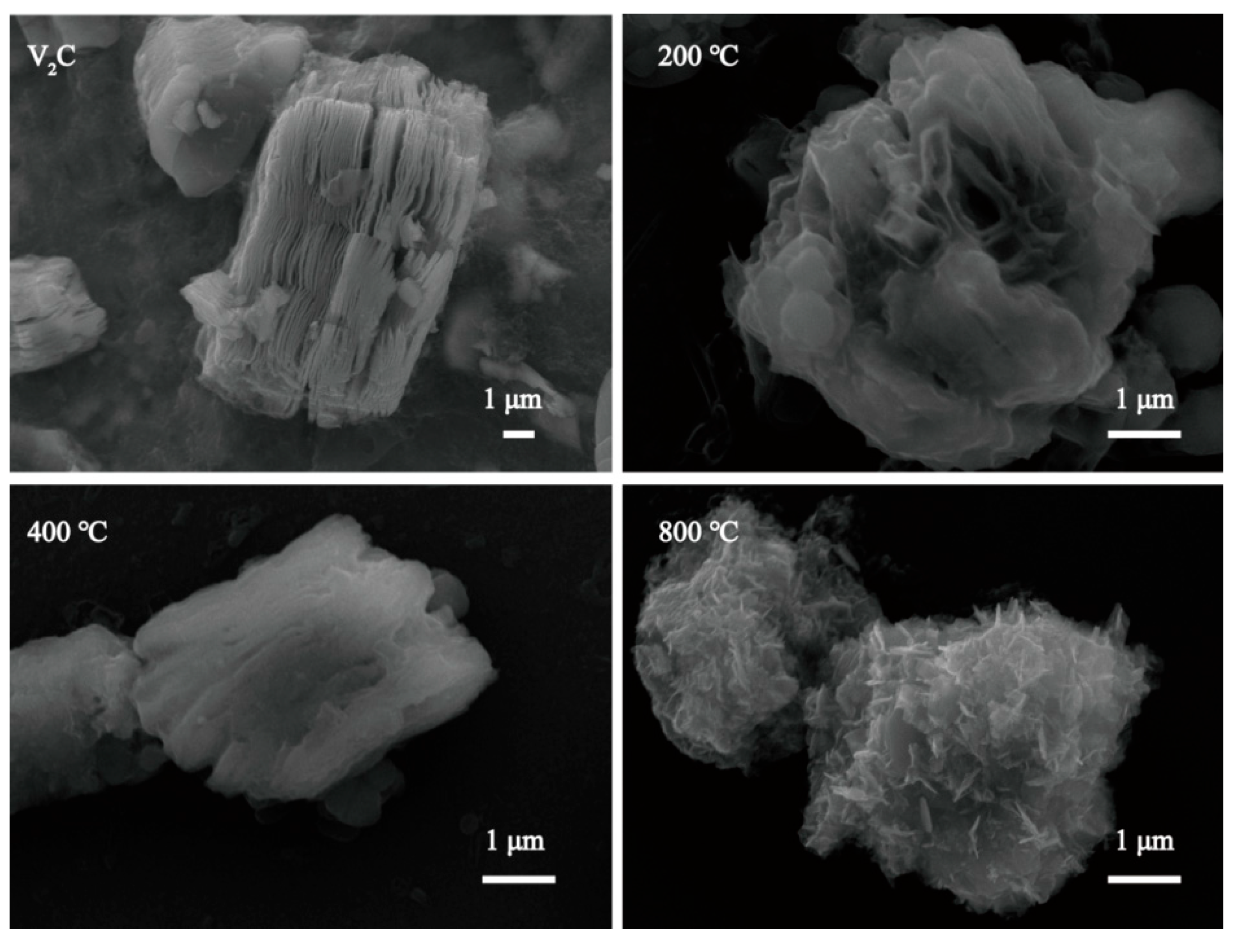 Inorganics 13 00290 g002