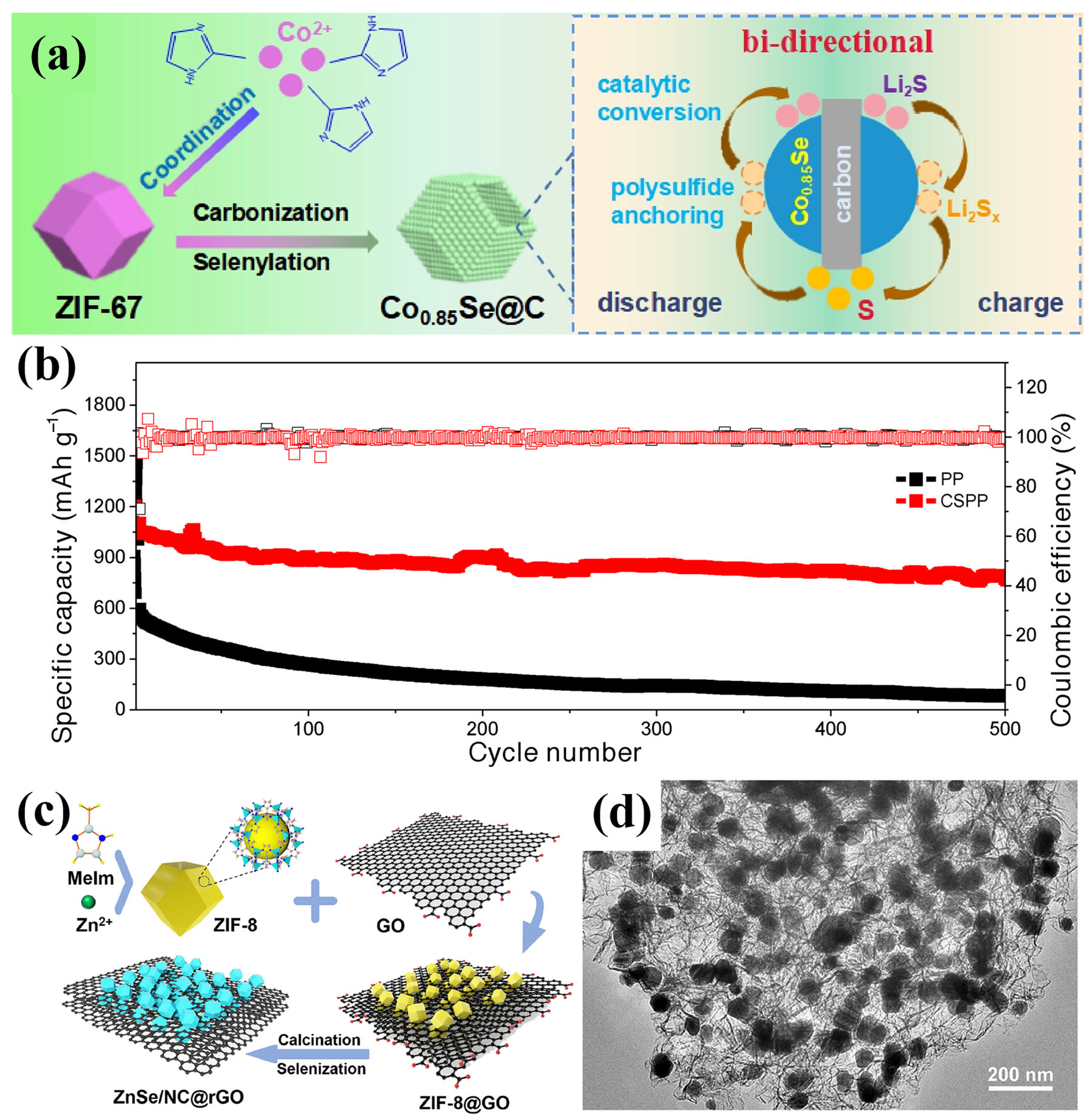Inorganics 13 00294 g013