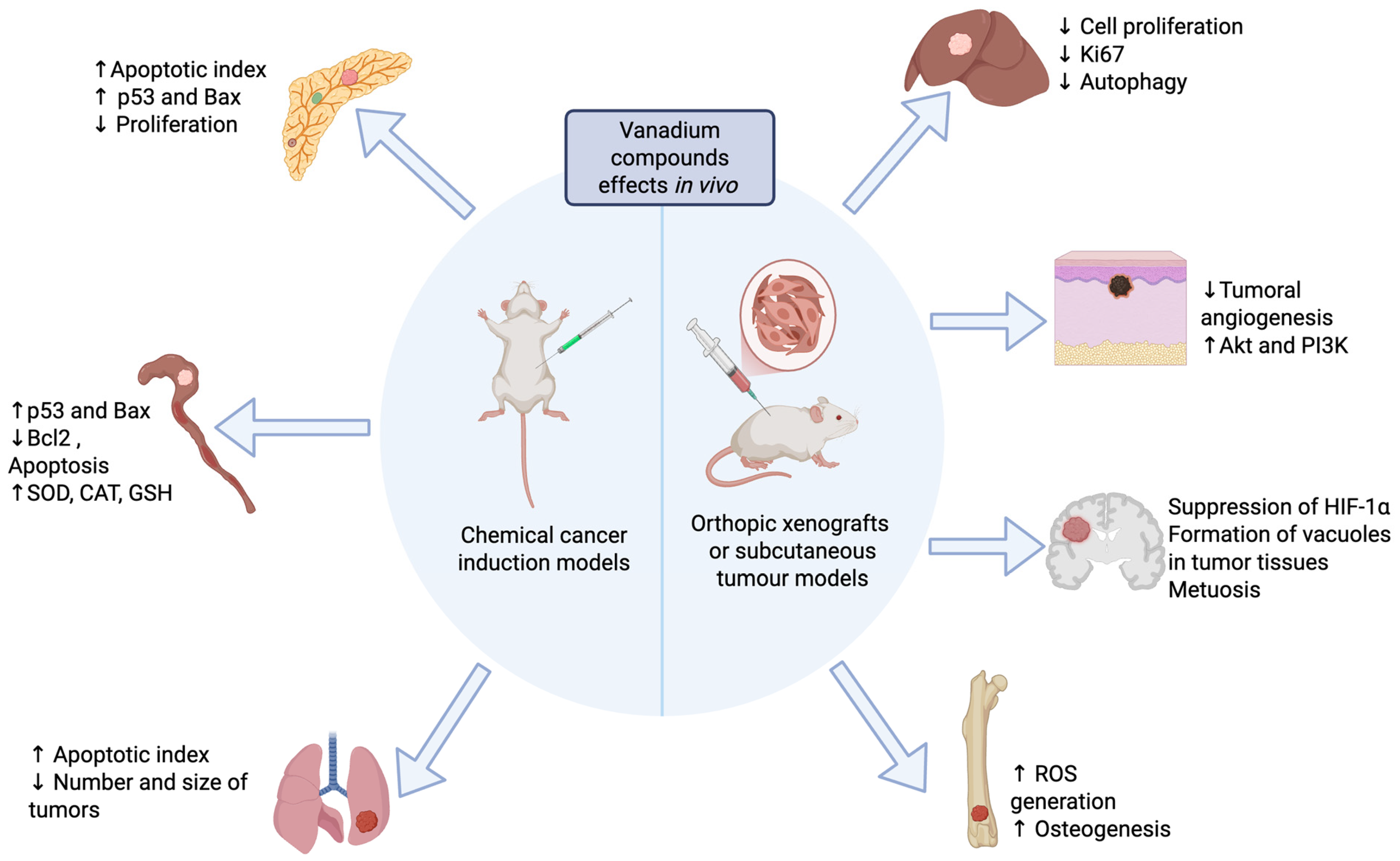 Inorganics 13 00298 g001 Inorganics 13 00298 g001
