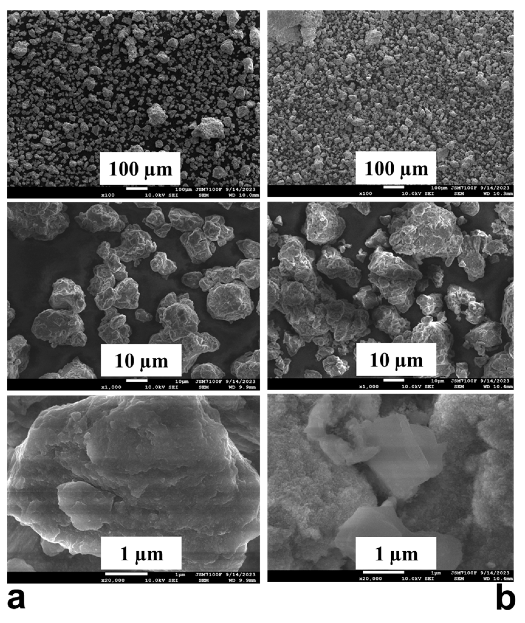 Inorganics 13 00299 g005 Inorganics 13 00299 g005