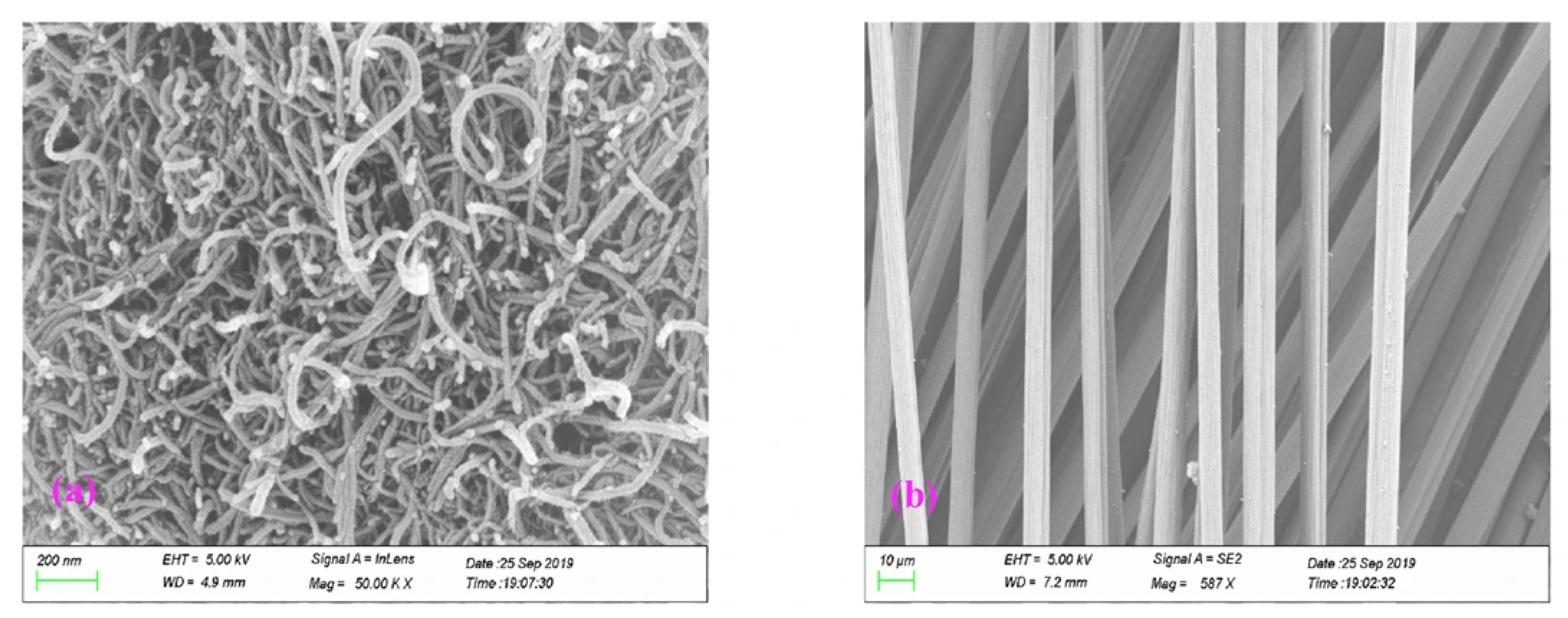 Inorganics 13 00305 g003 Inorganics 13 00305 g003