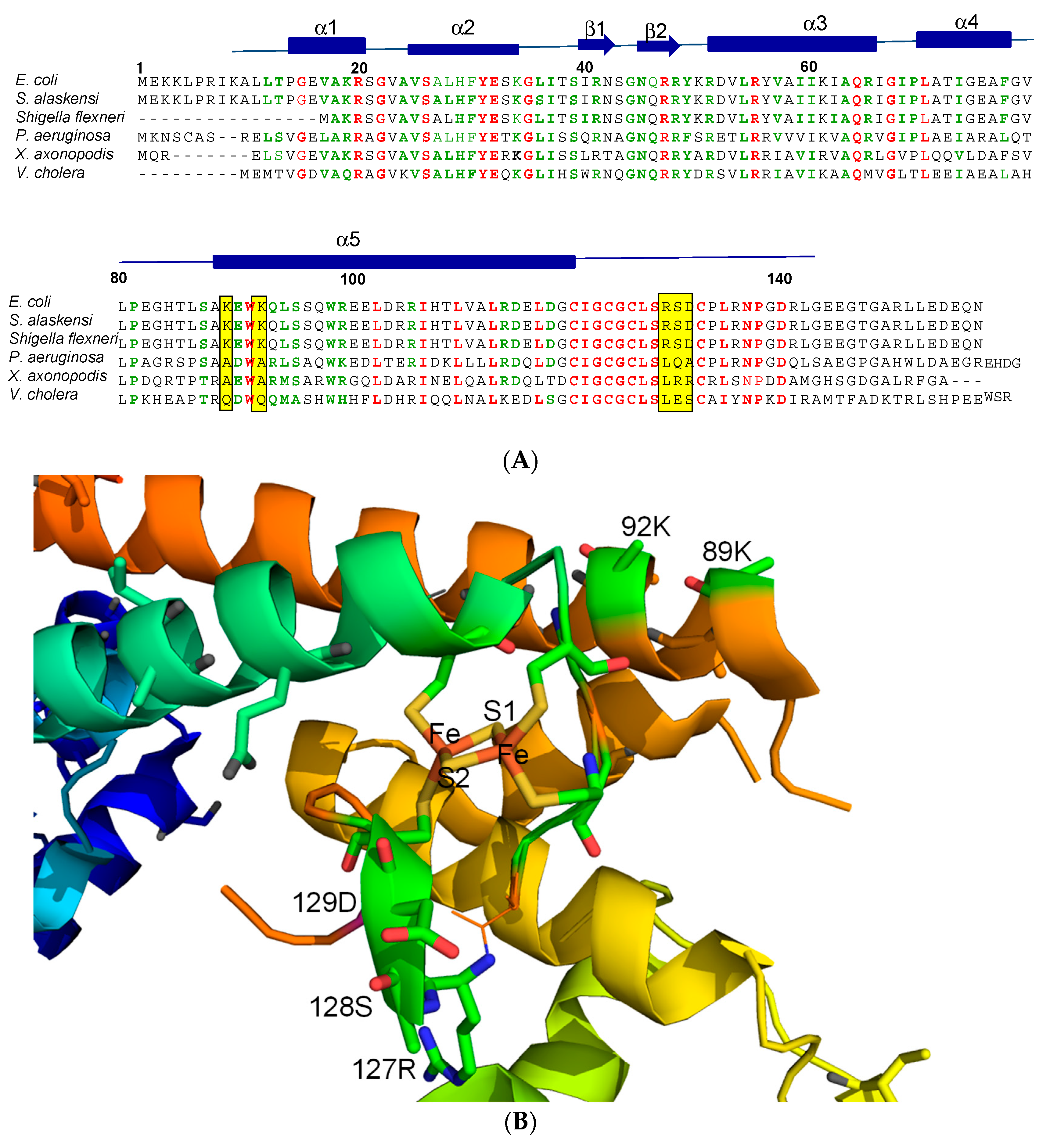 Inorganics 13 00307 g004