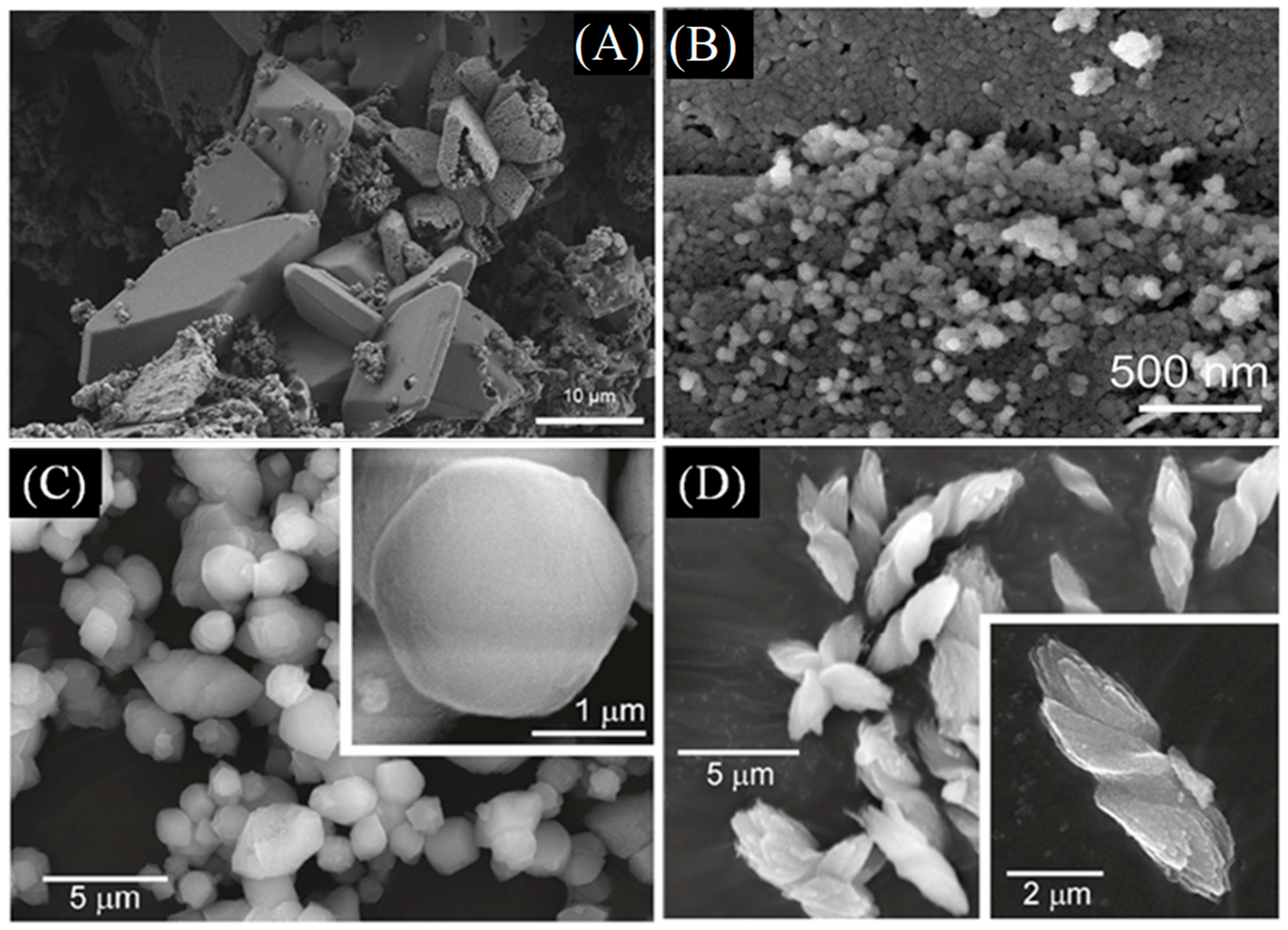 Inorganics 13 00321 g001