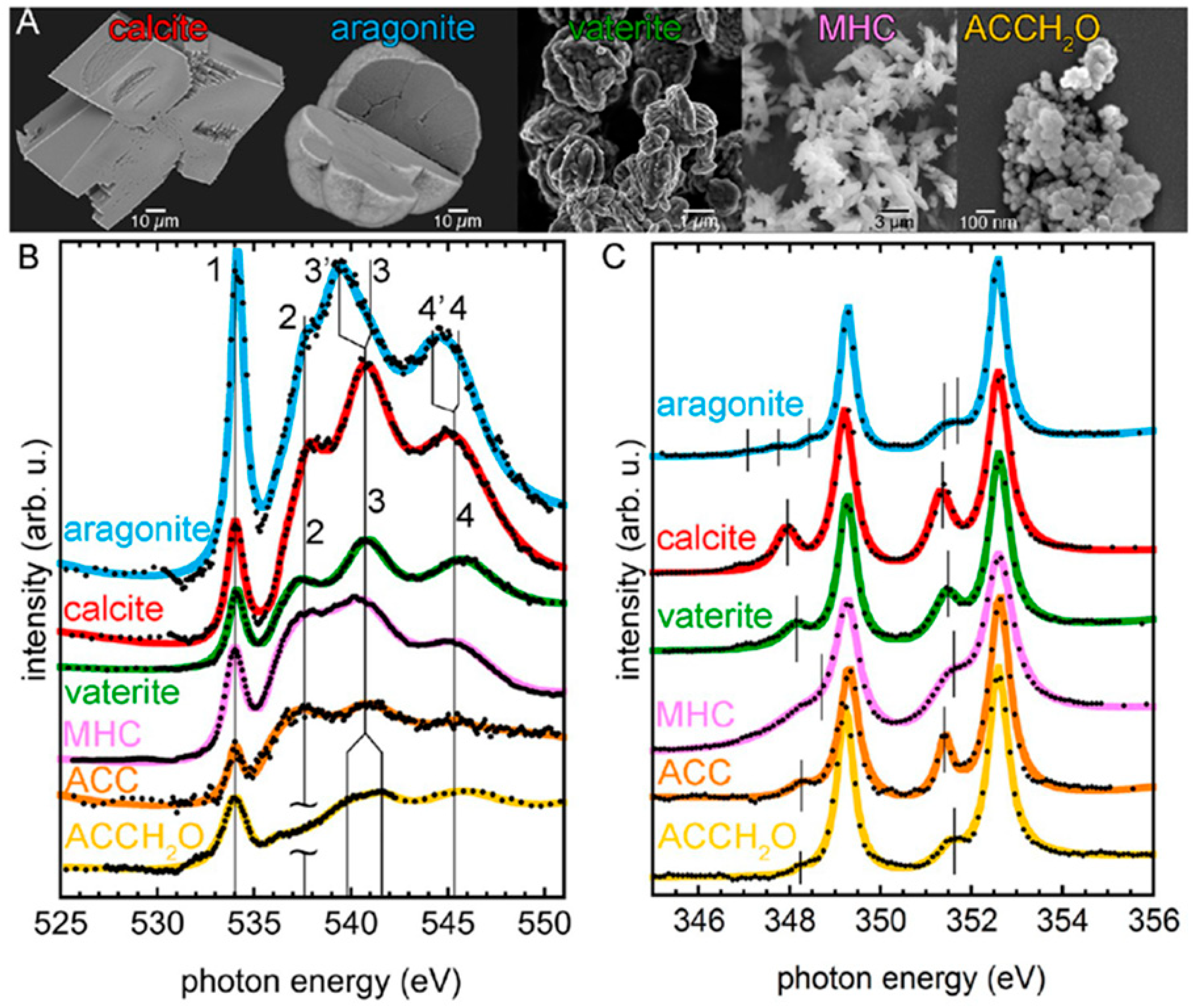 Inorganics 13 00321 g005