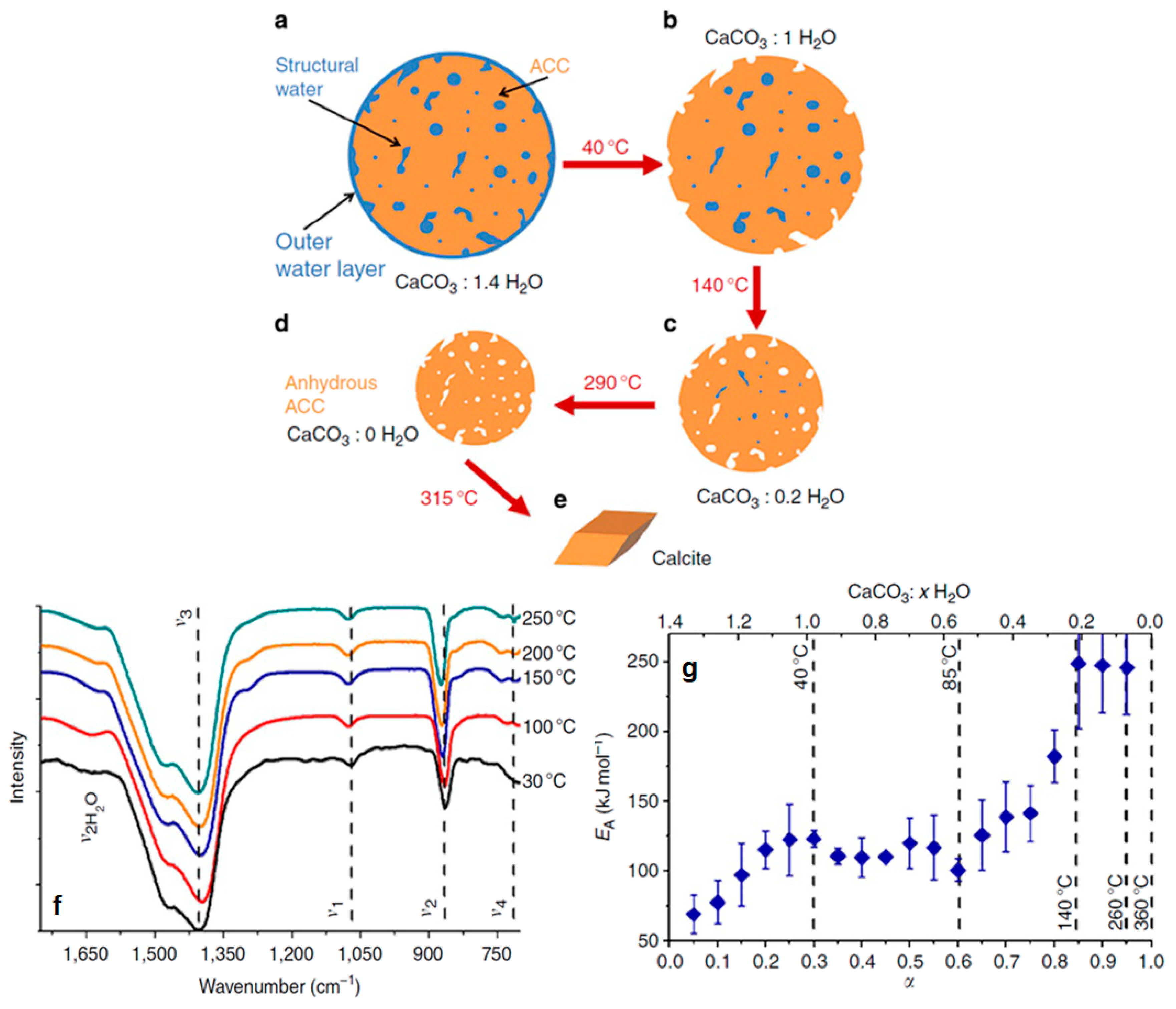 Inorganics 13 00321 g011