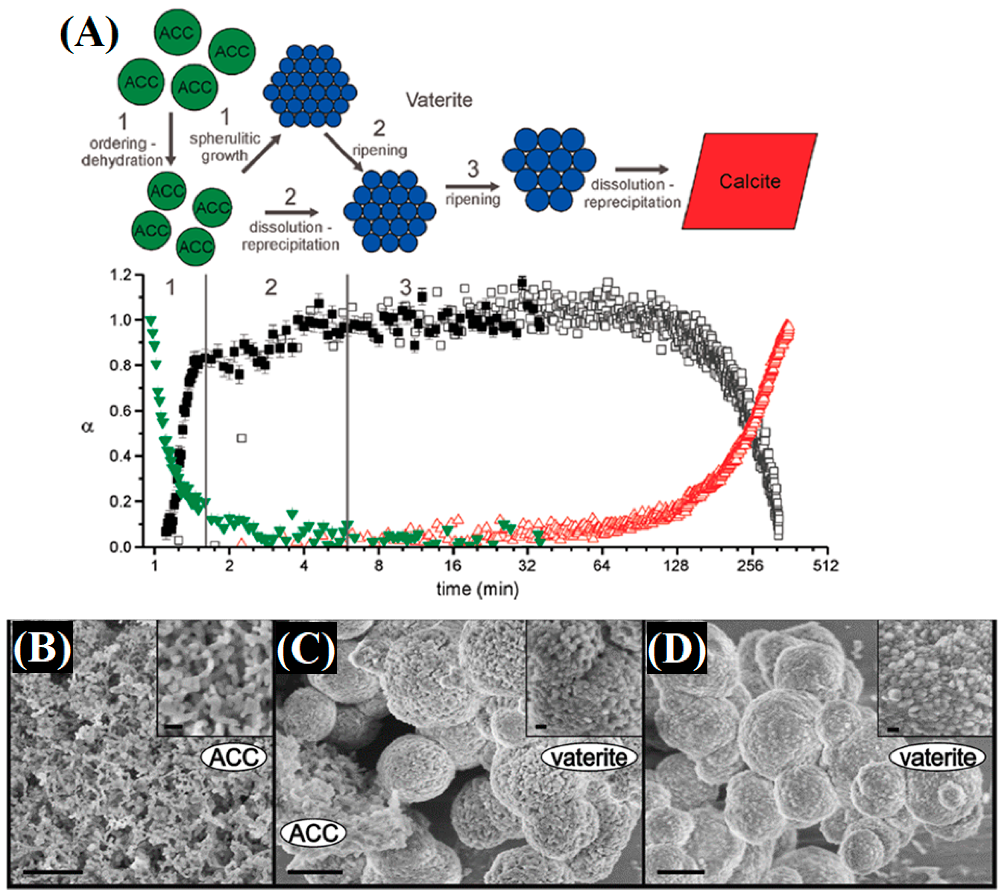 Inorganics 13 00321 g012