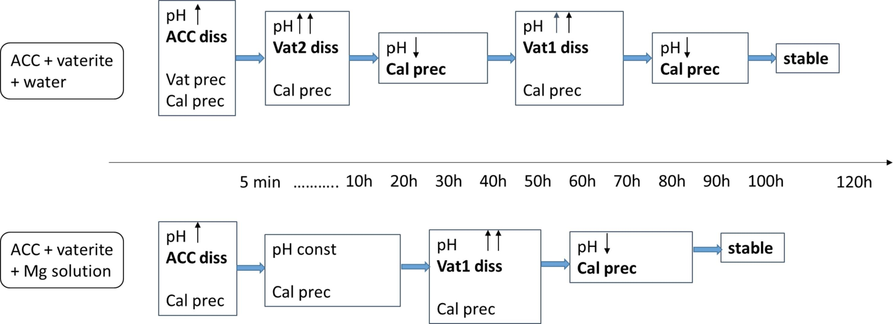 Inorganics 13 00321 g014