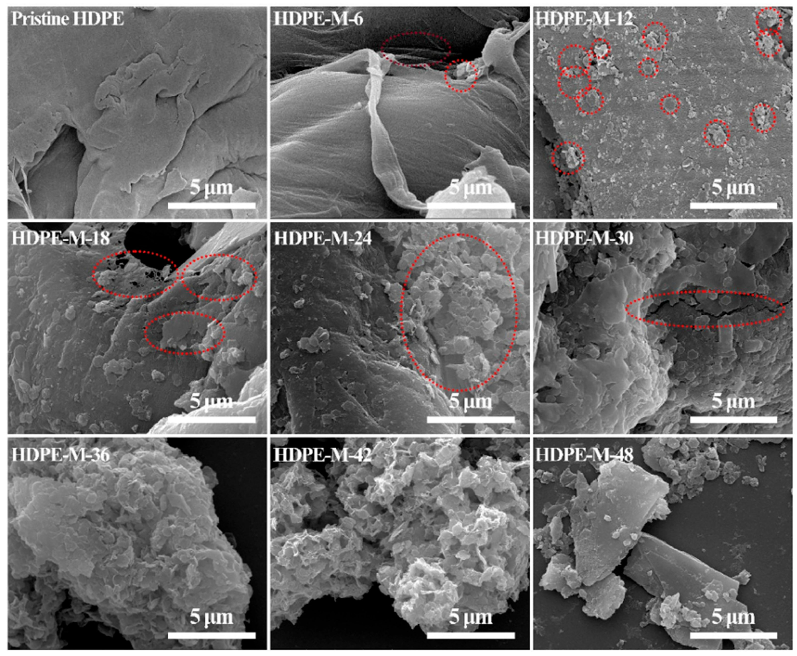 Inorganics 13 00324 g014 Inorganics 13 00324 g014