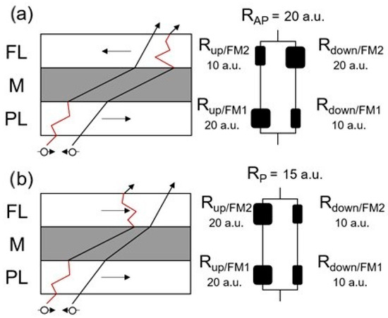 Thermoelectric Materials for Spintronics: From Physical Principles