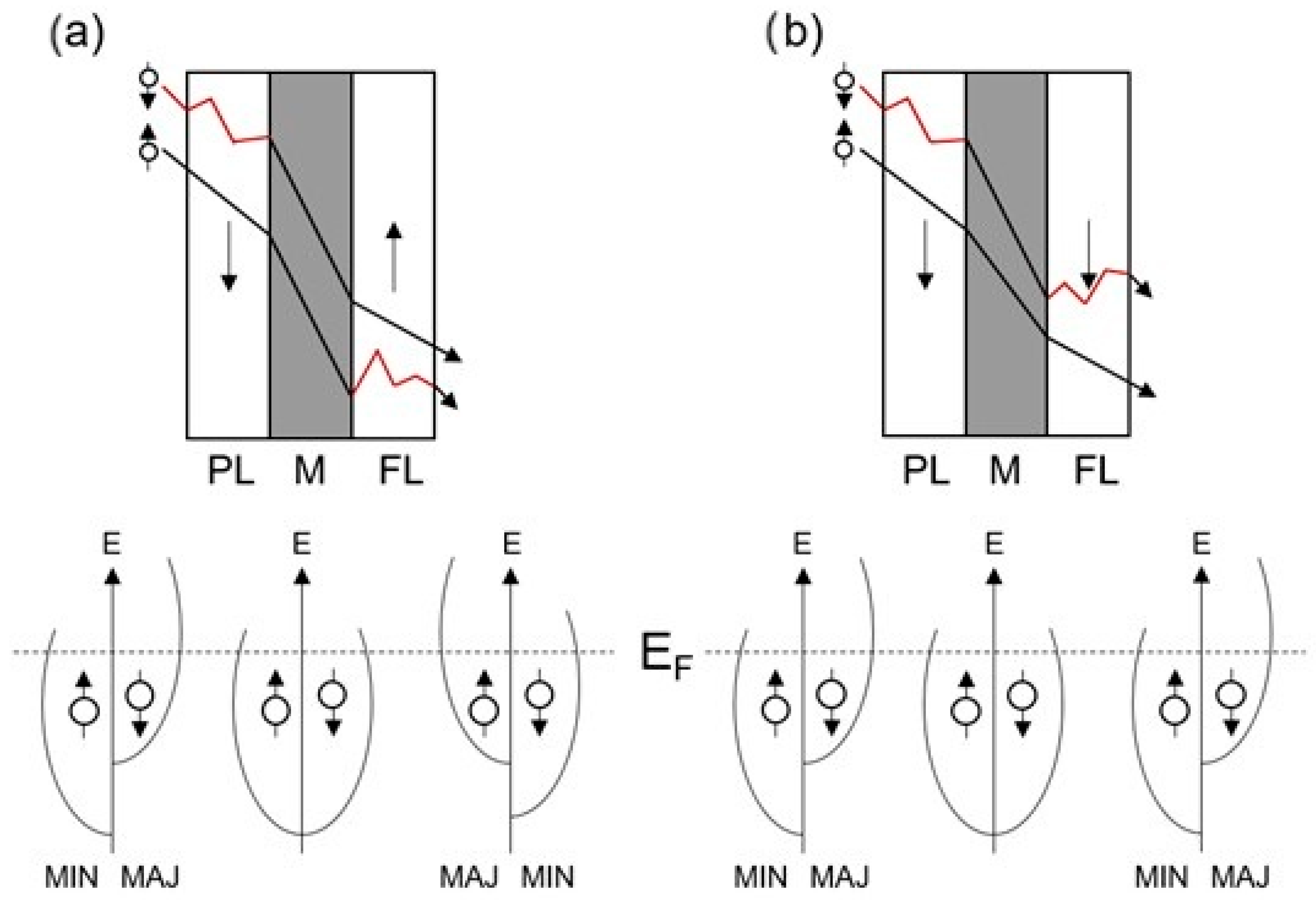 Inorganics 13 00332 g002