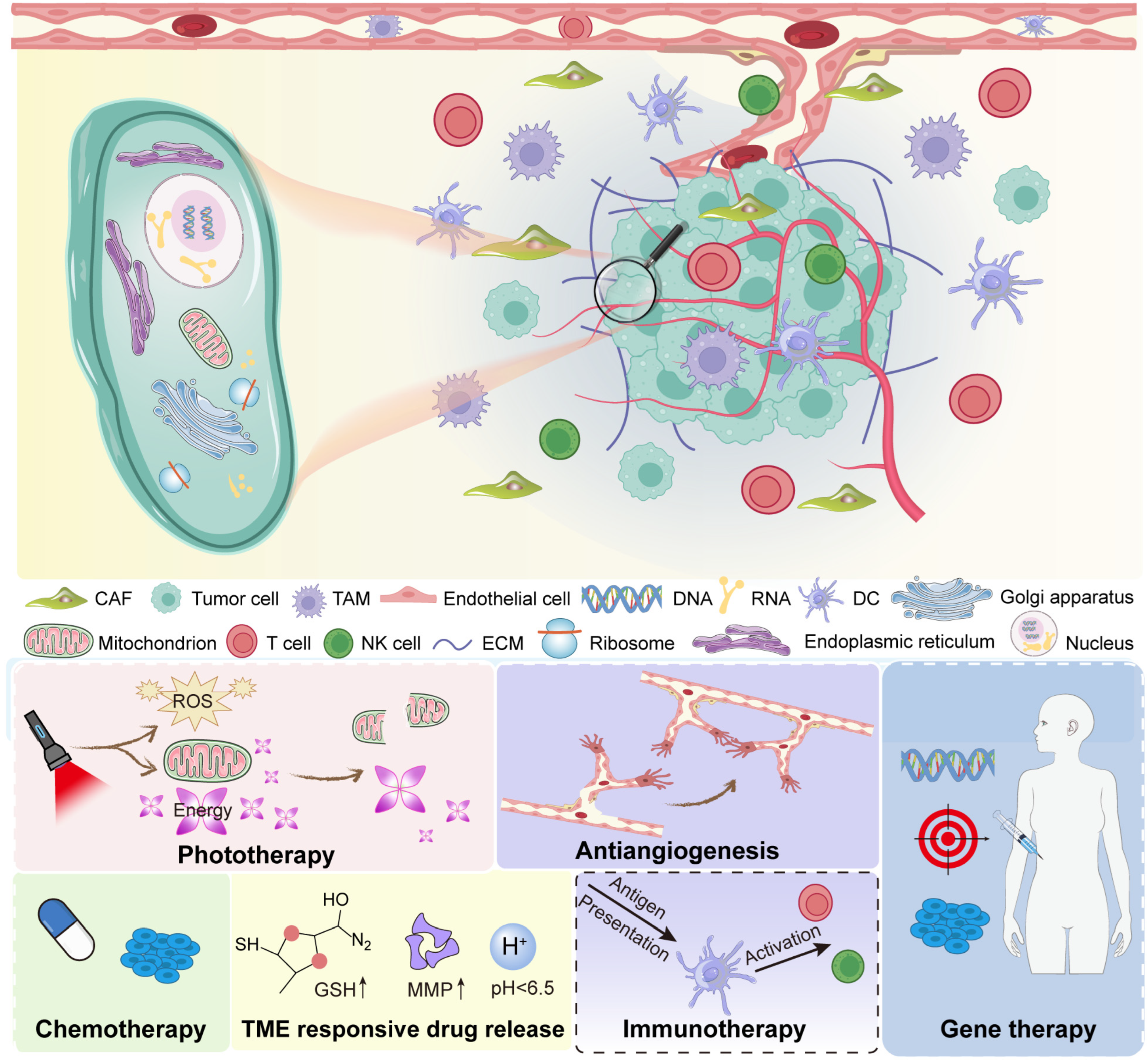 Inorganics 13 00337 g001 Inorganics 13 00337 g001