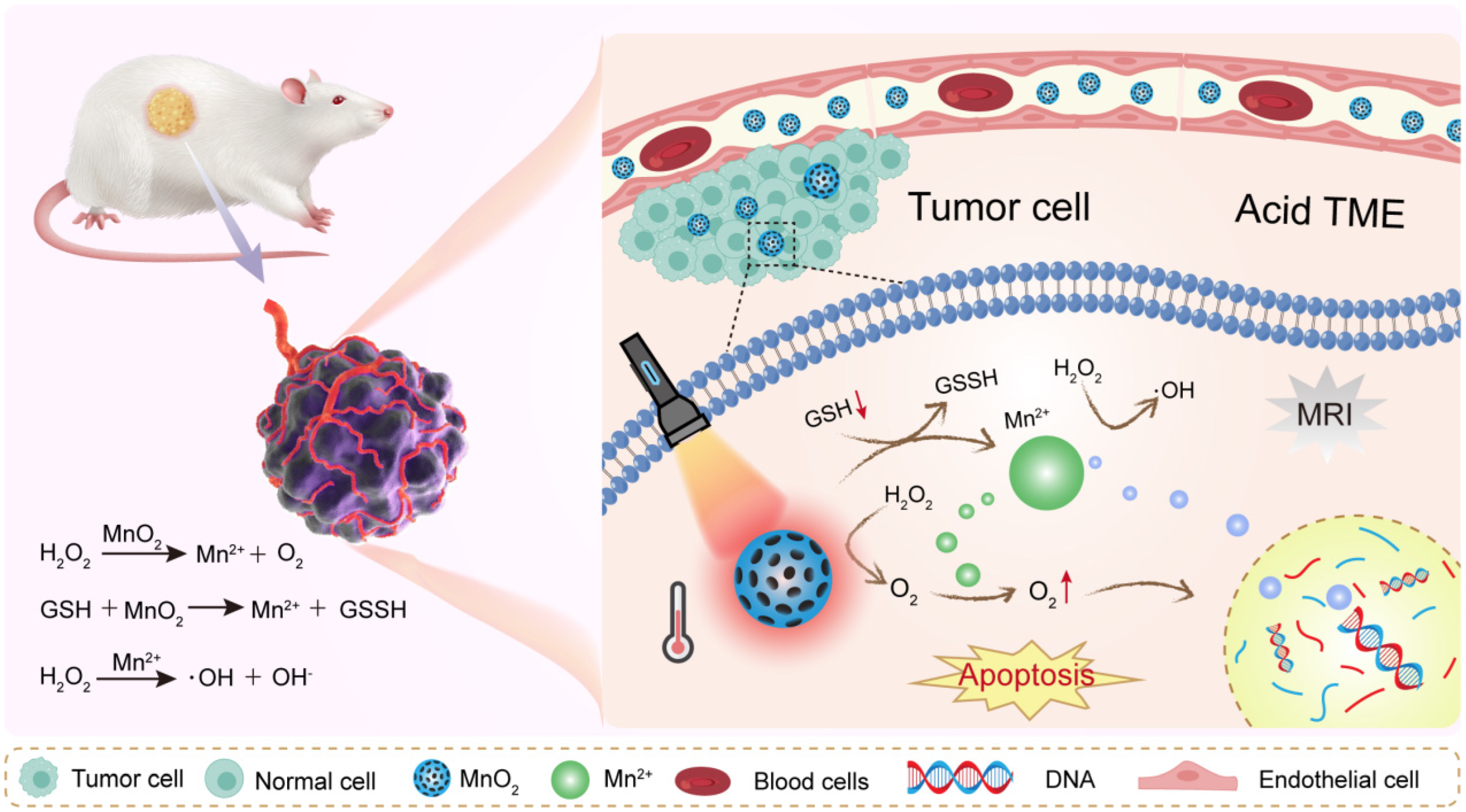 Inorganics 13 00337 g003 Inorganics 13 00337 g003