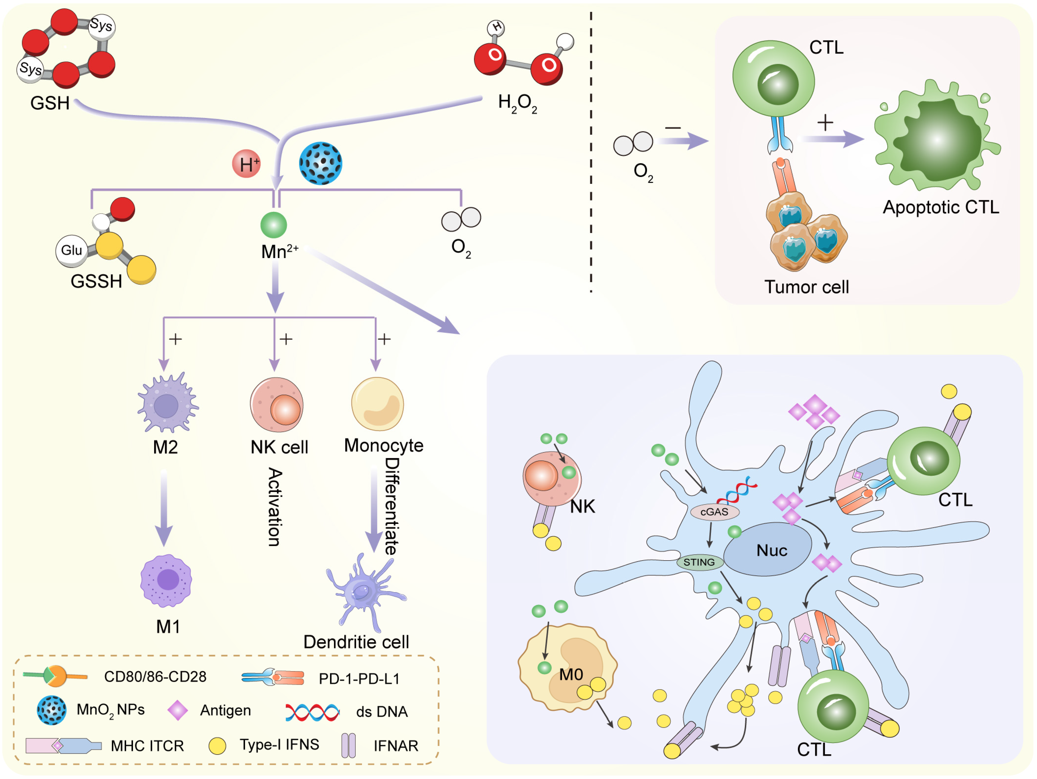 Inorganics 13 00337 g005 Inorganics 13 00337 g005
