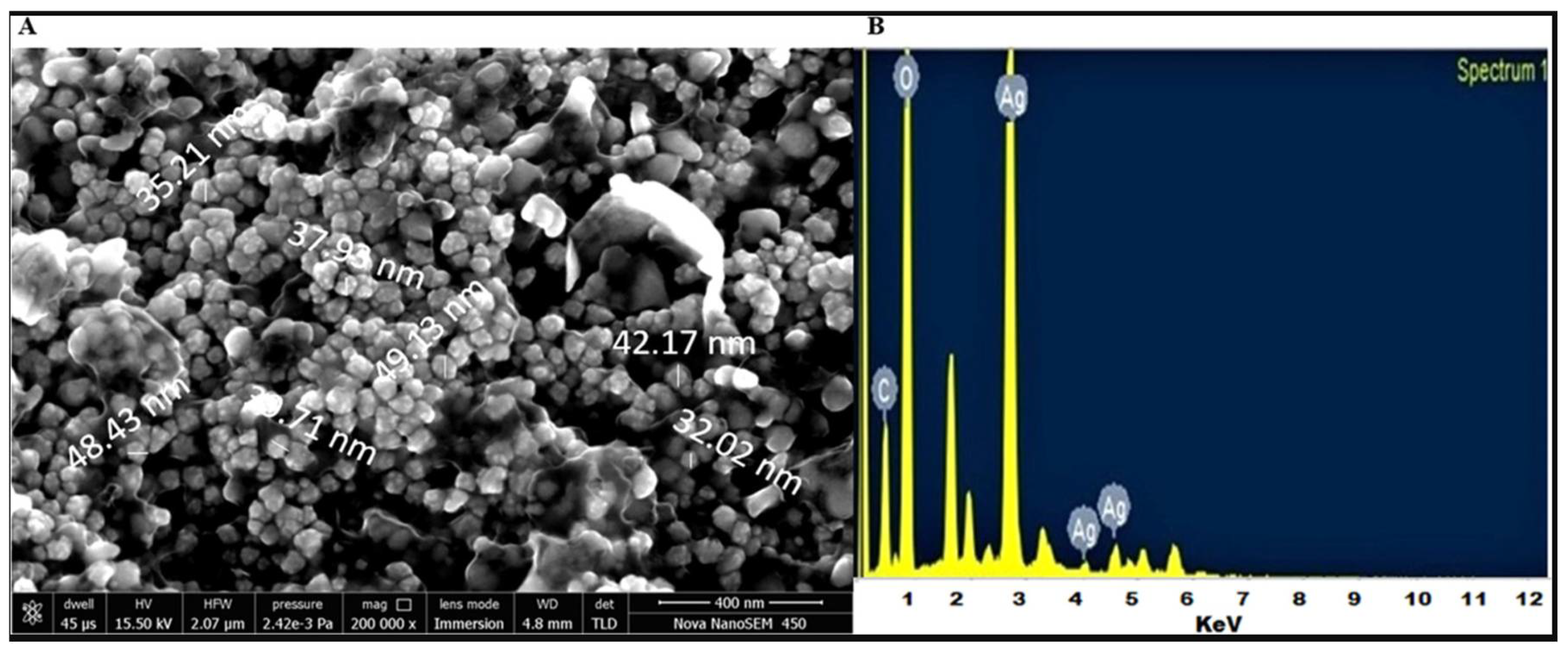 Inorganics 13 00341 g007