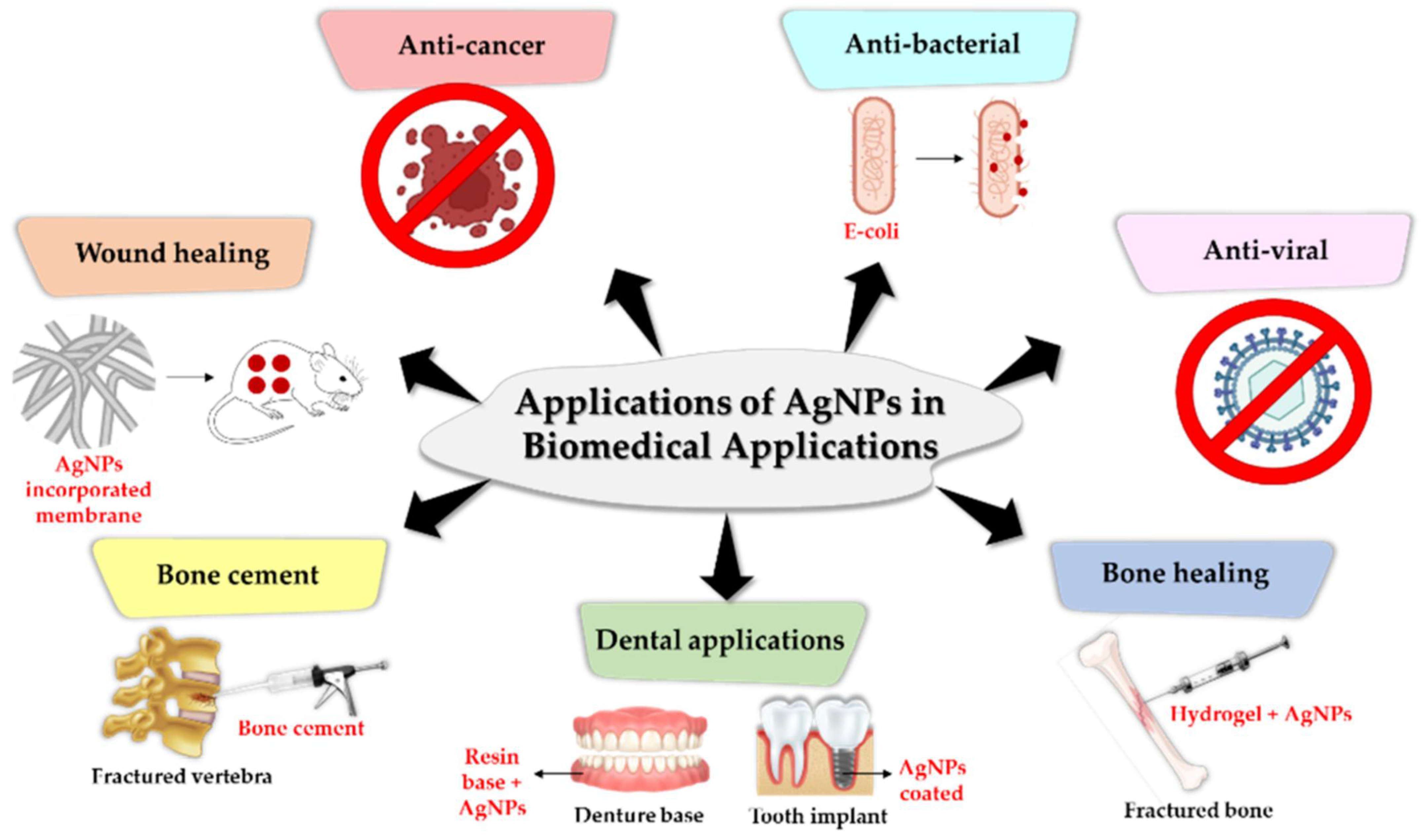 Inorganics 13 00341 g016